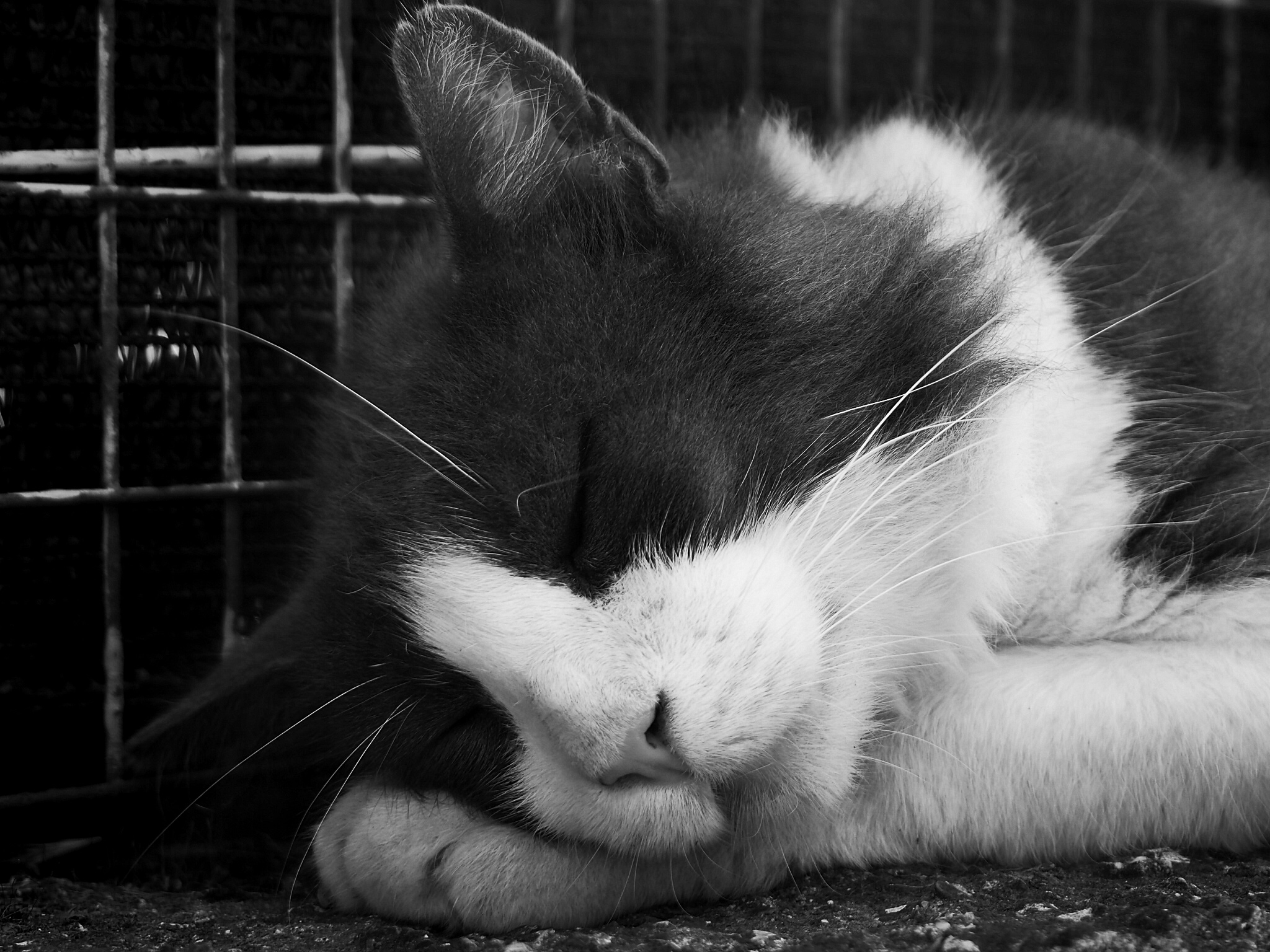 Don't wake gat sleeping