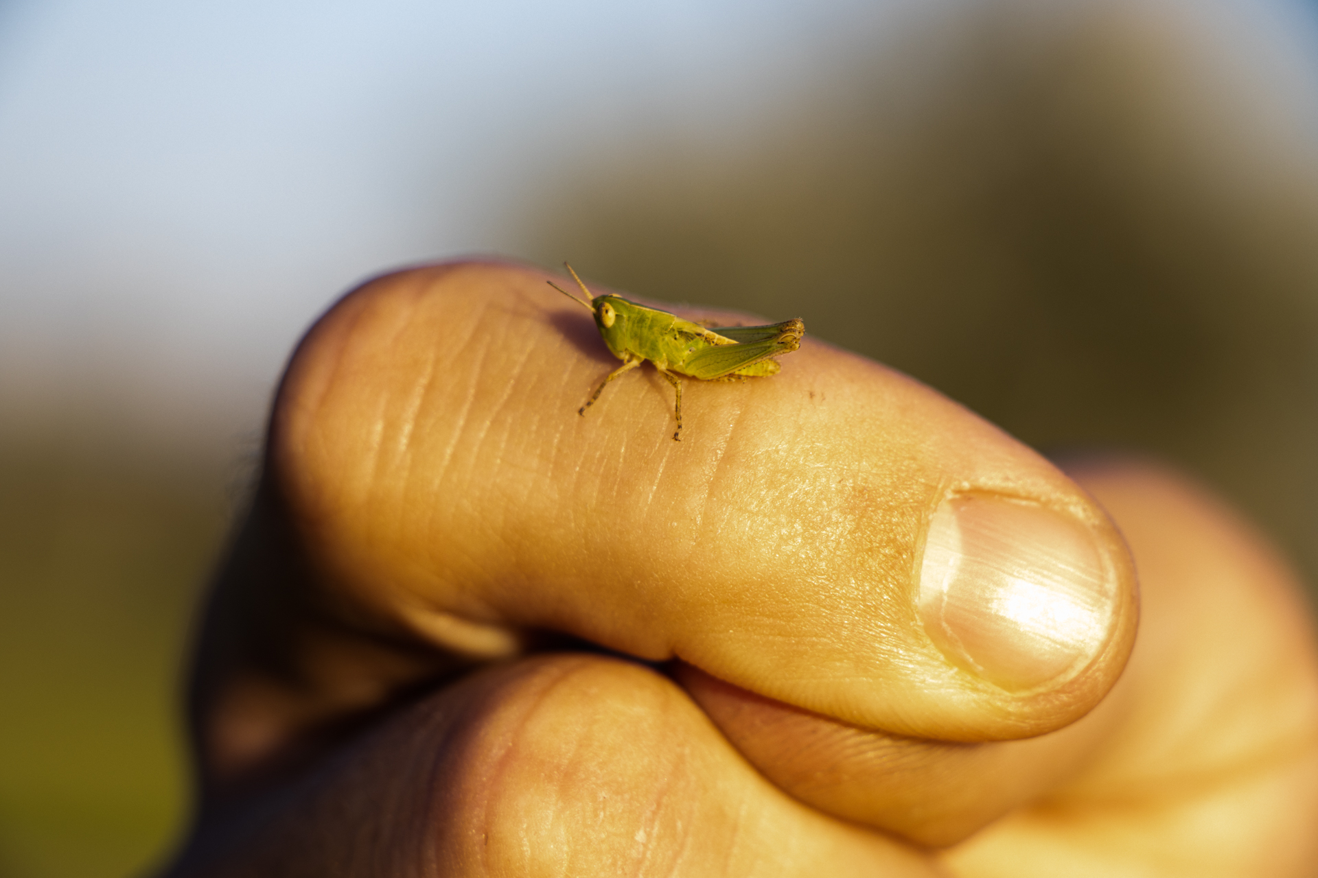 Little one, what if you see the world from above?