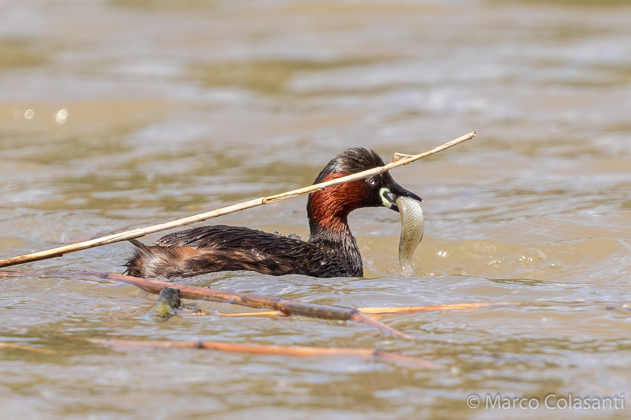 And even today we eat