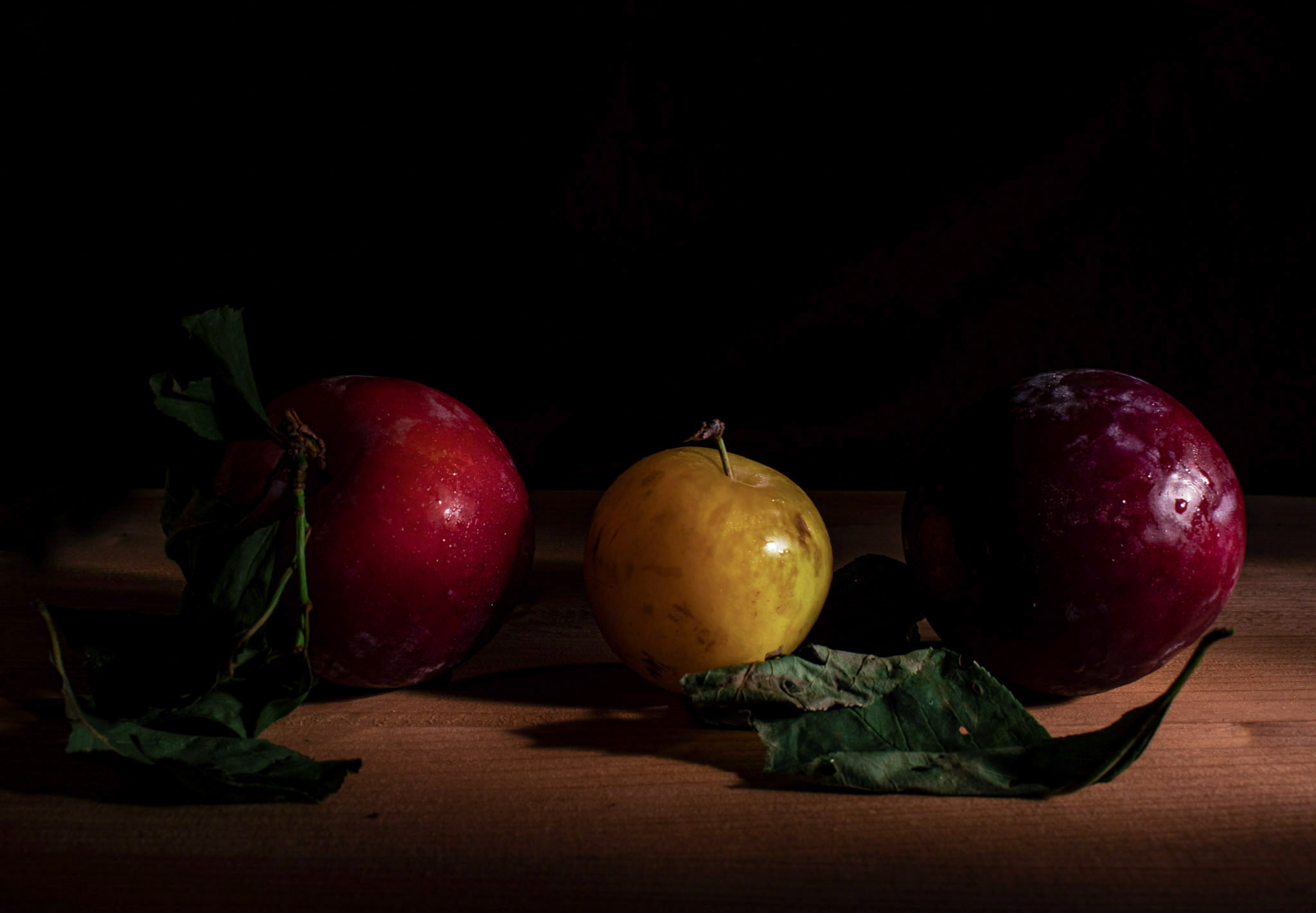 Untitled Photo