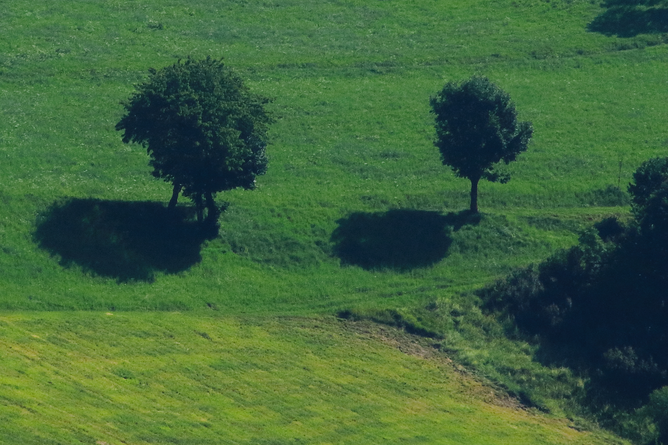 trentino