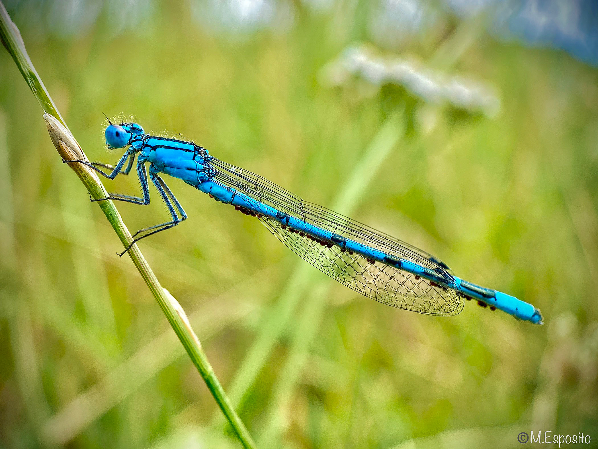 In the blue painted blue