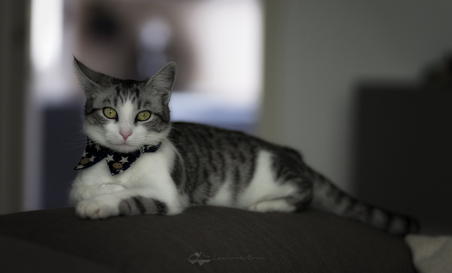Model for life