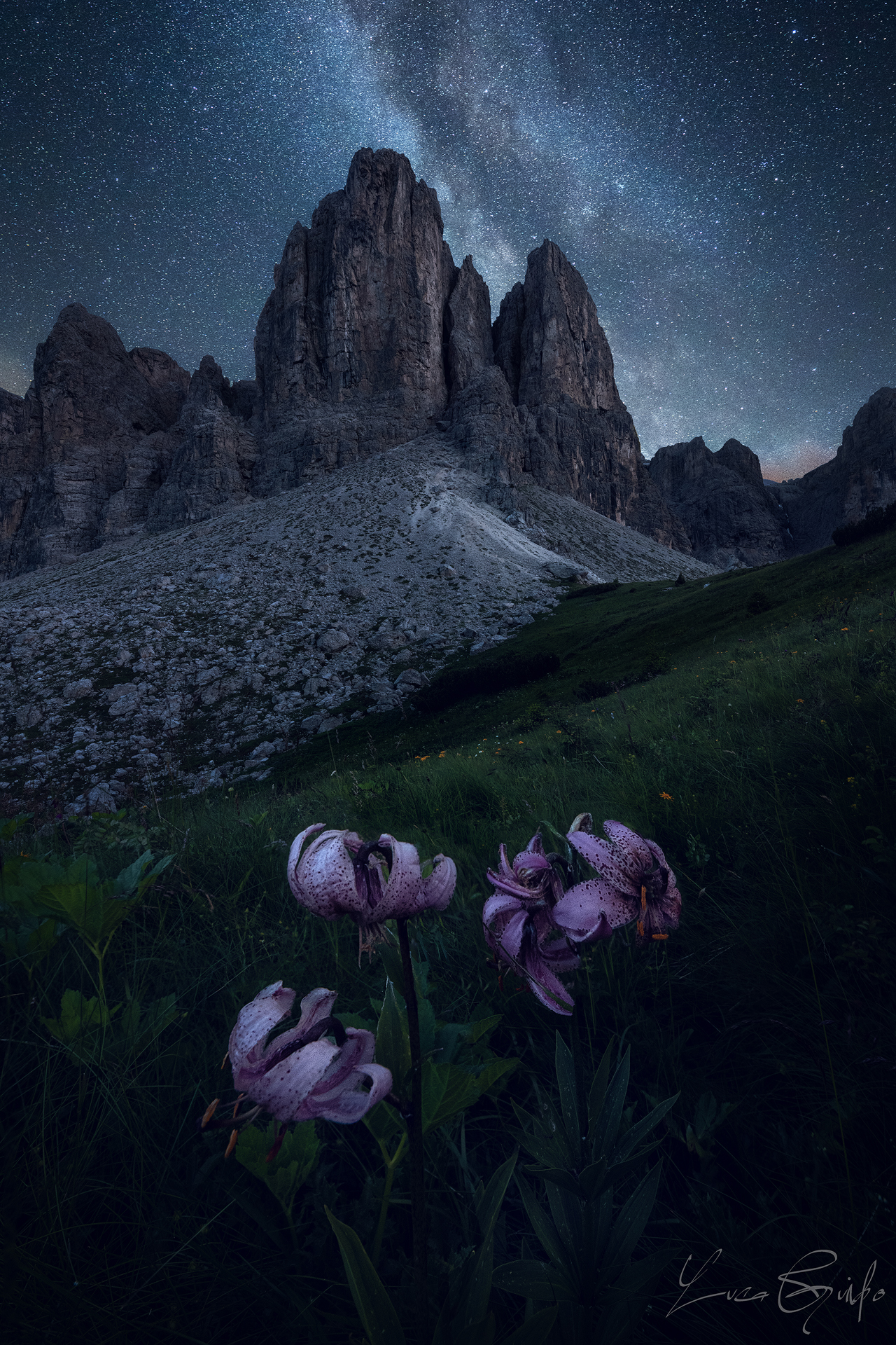 Dark Lily