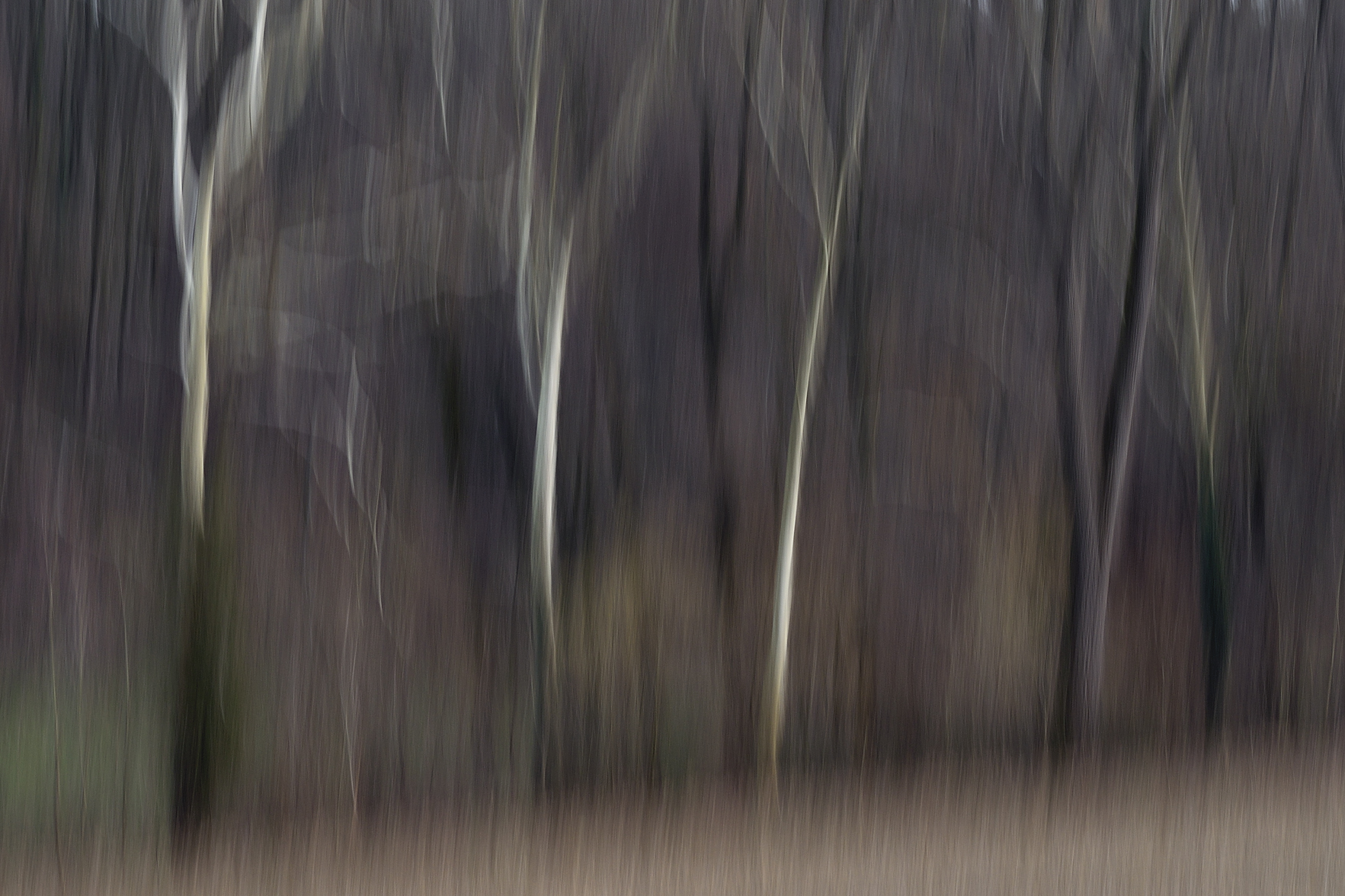Nature vibrates 2