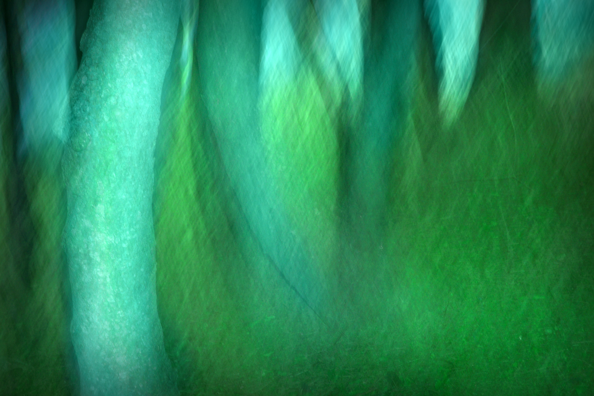 Woodland Soul 1