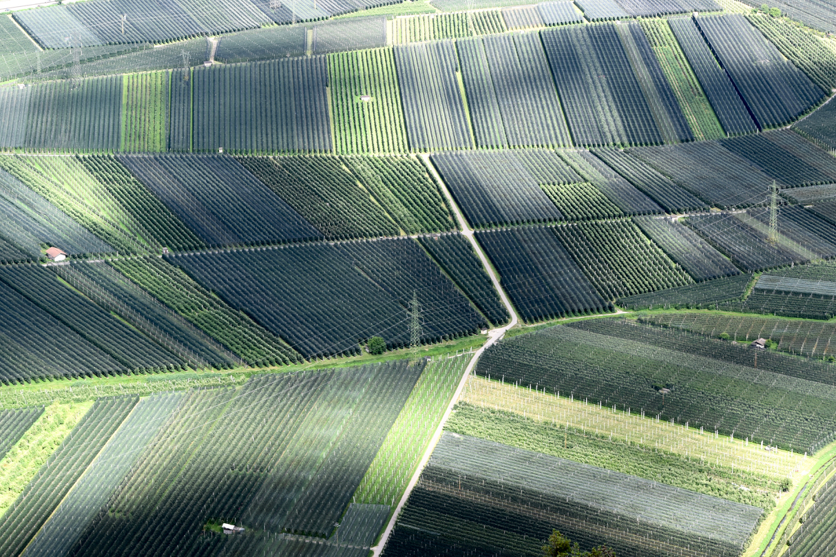 Val d Adige, the apple fields