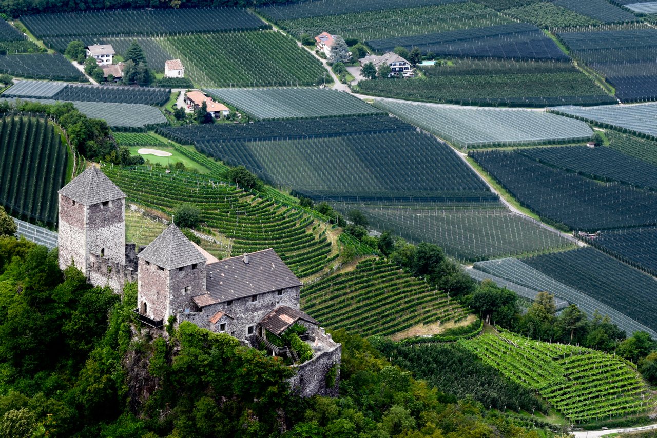 Castel Leone, Medieval and modern agriculture