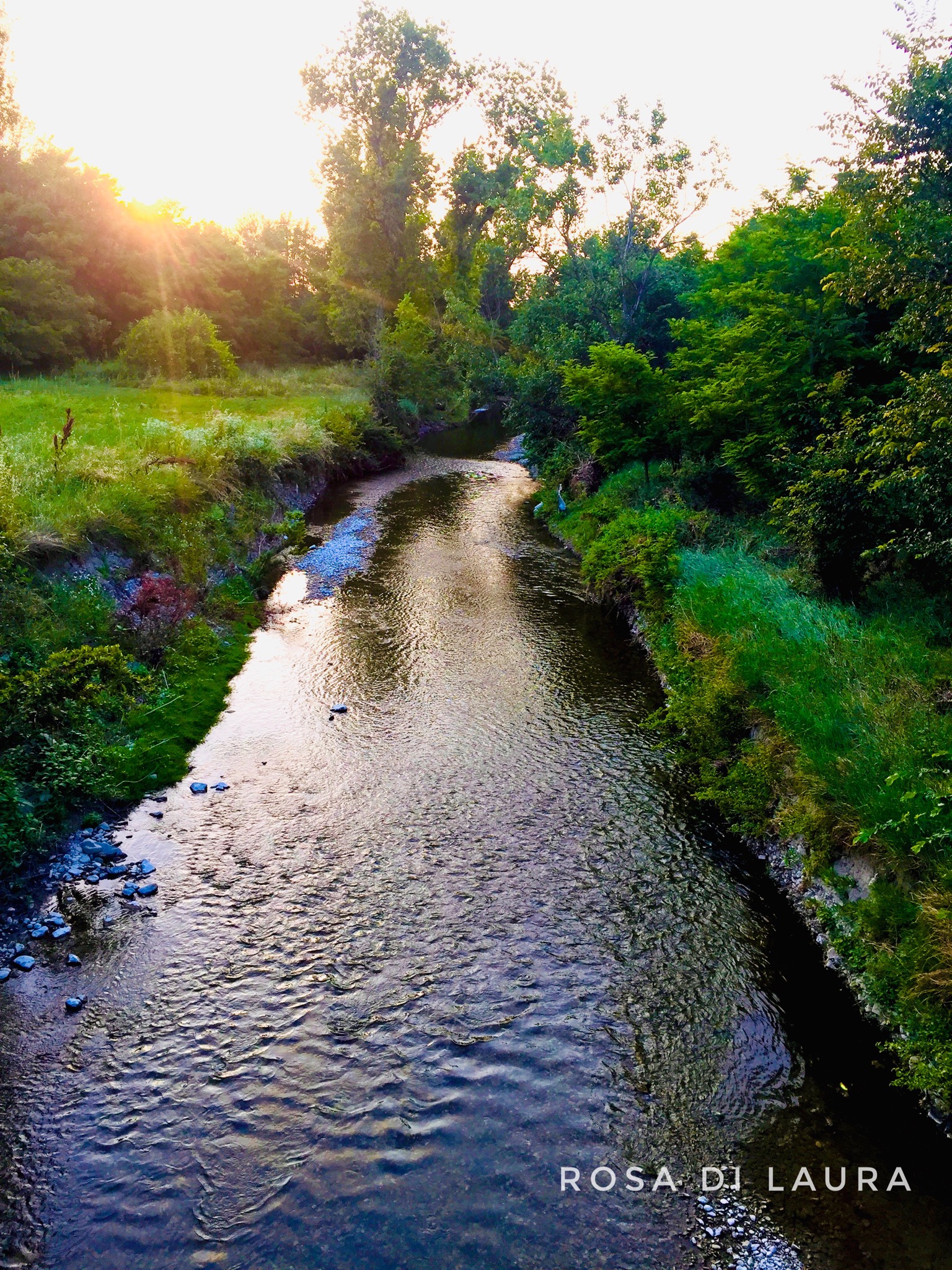 Brook