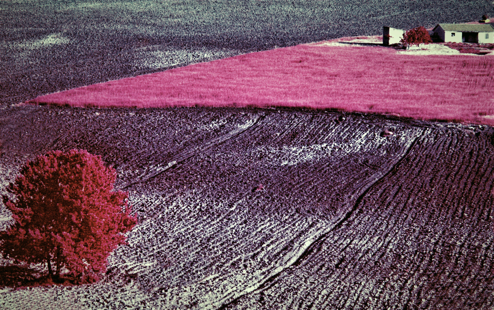 Infrared