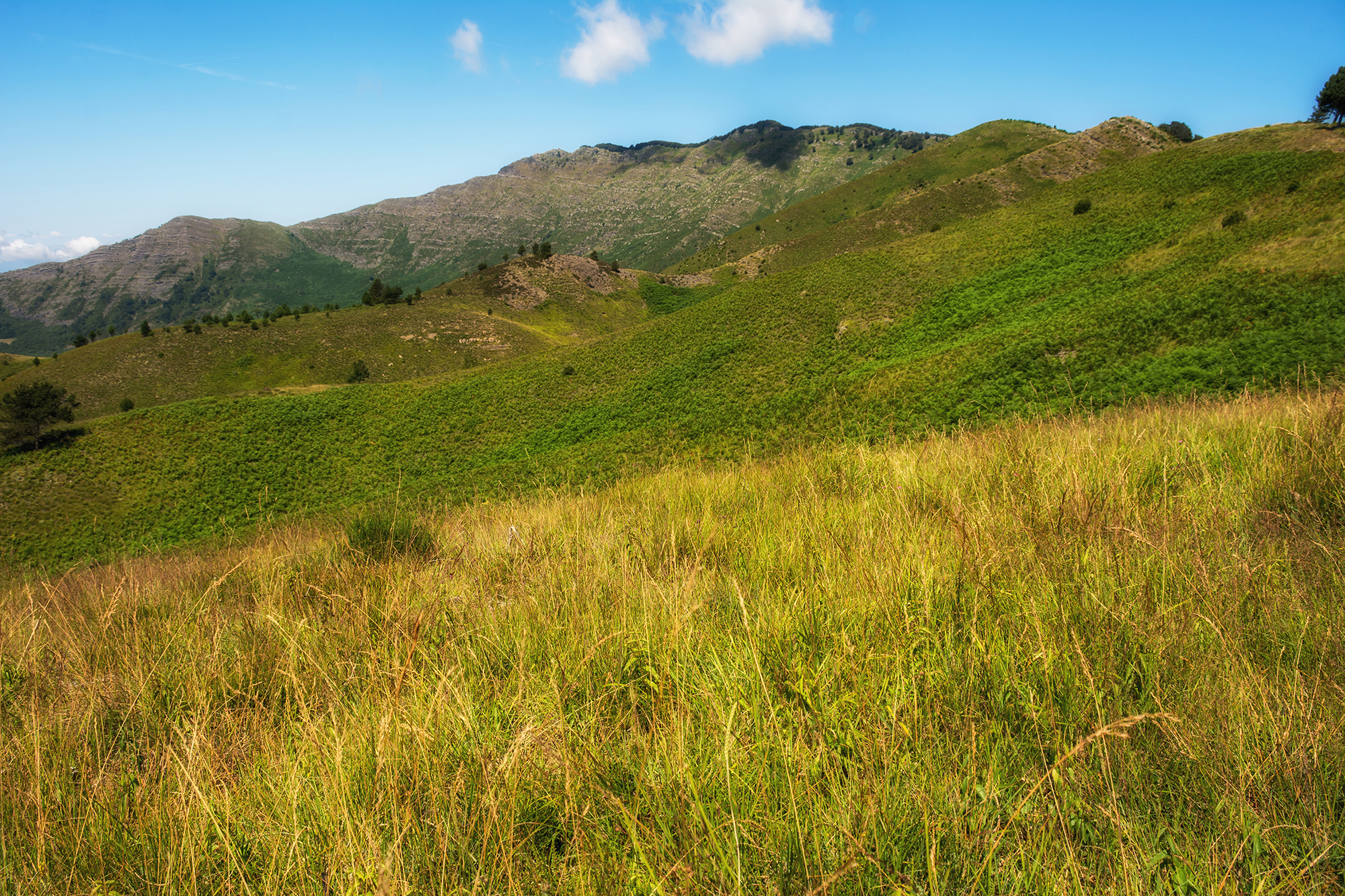 Towards Mount Ramaceto