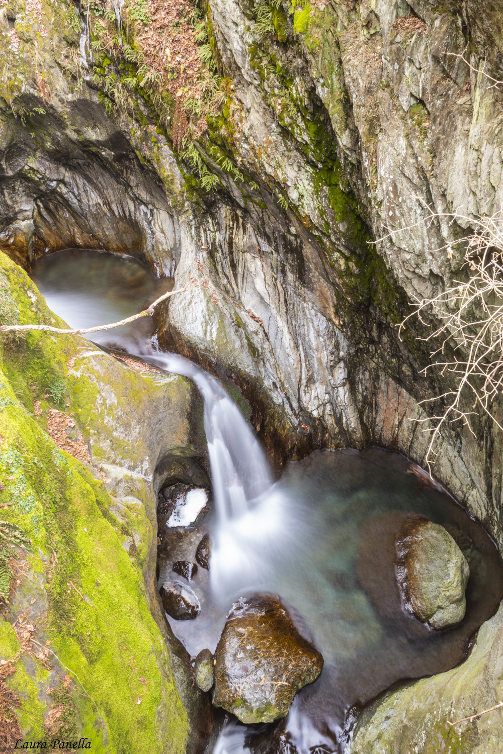 Torrente Bondone (so)