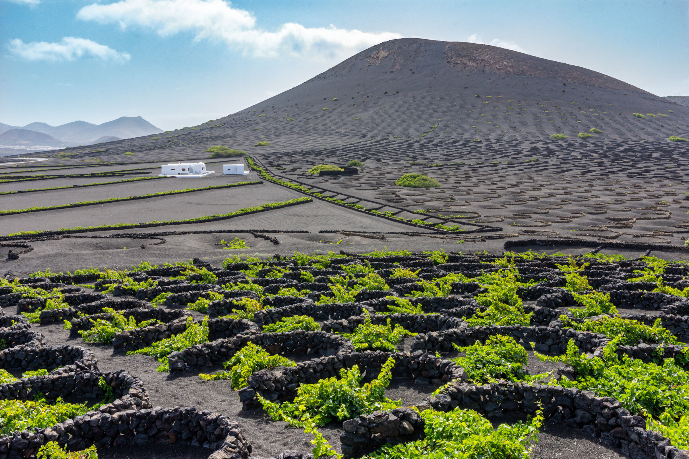 La Geria - Lanzarote
