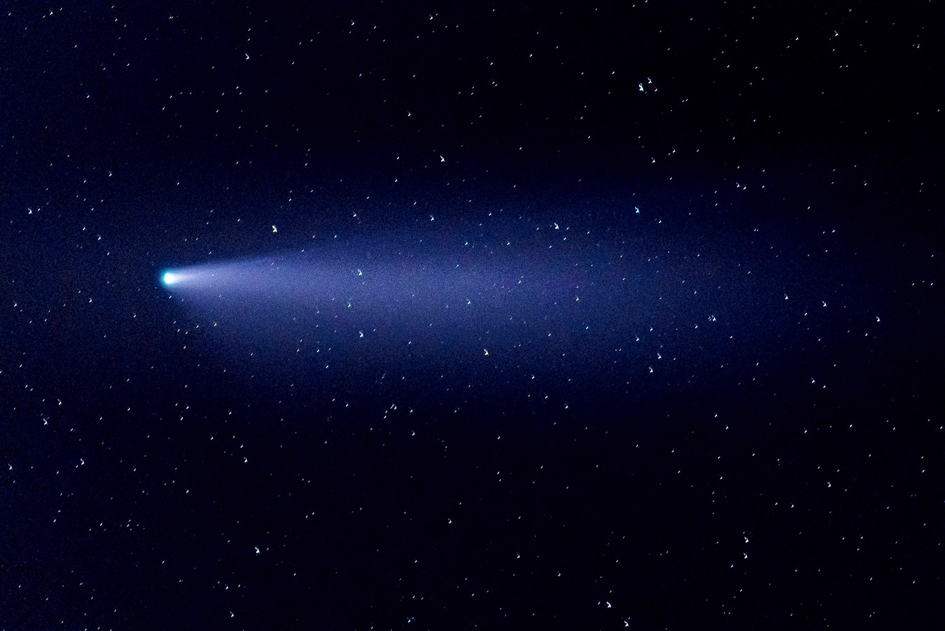 Neowise Comet