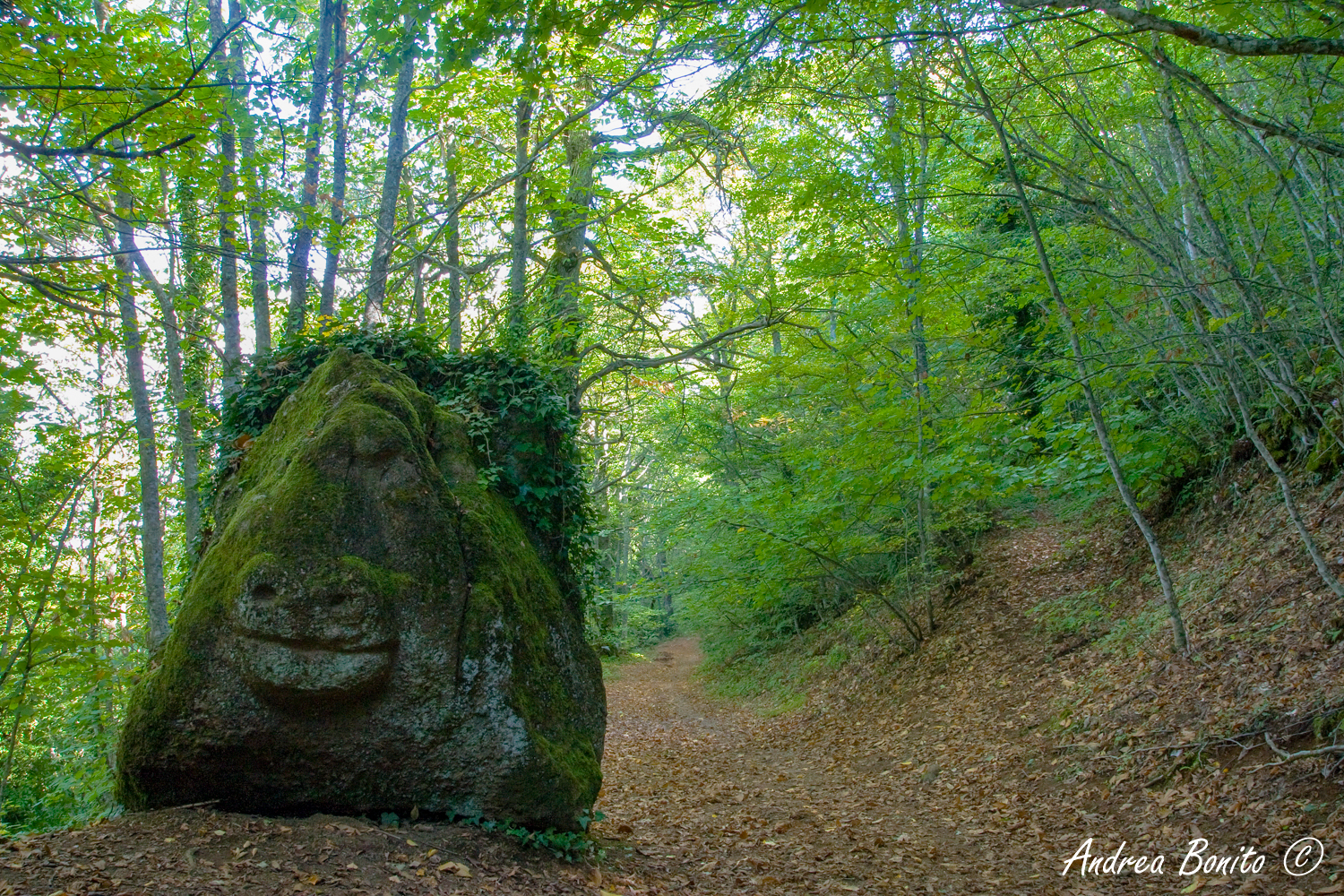 La Via Sacra a Monte Cavo