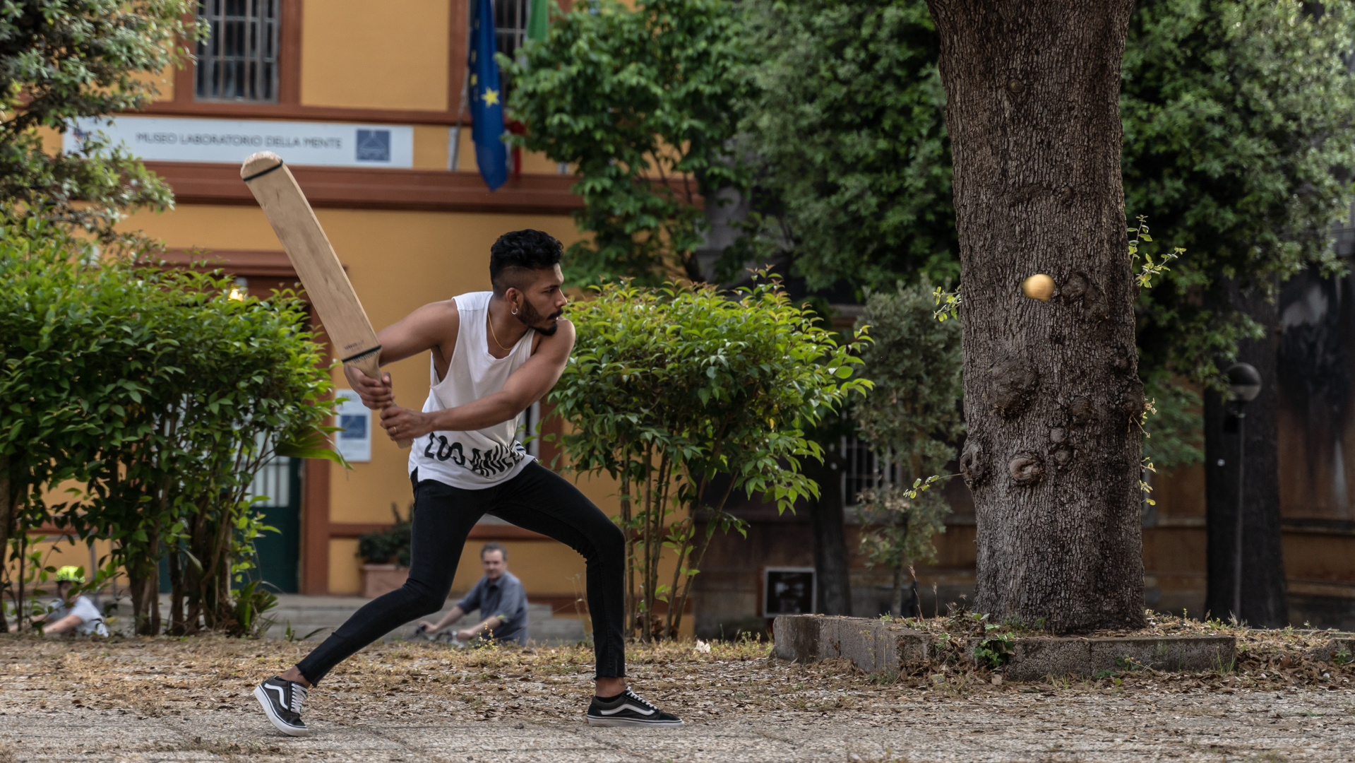 Cricket