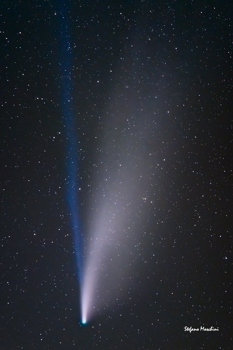 Cometa Neowise