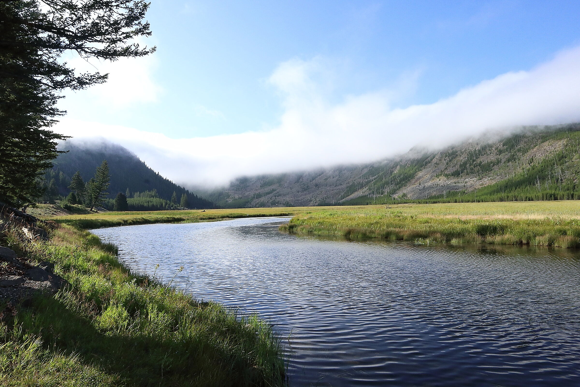 Yellowstone National Park West Side 1