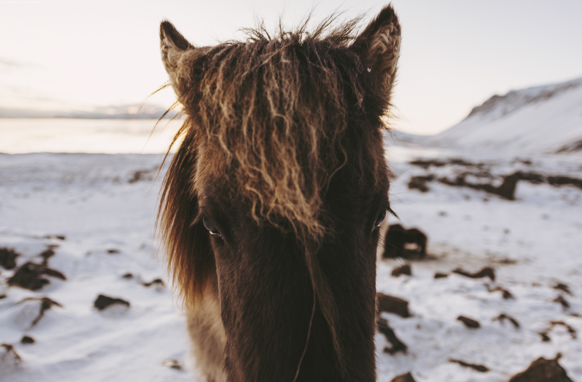 Iceland