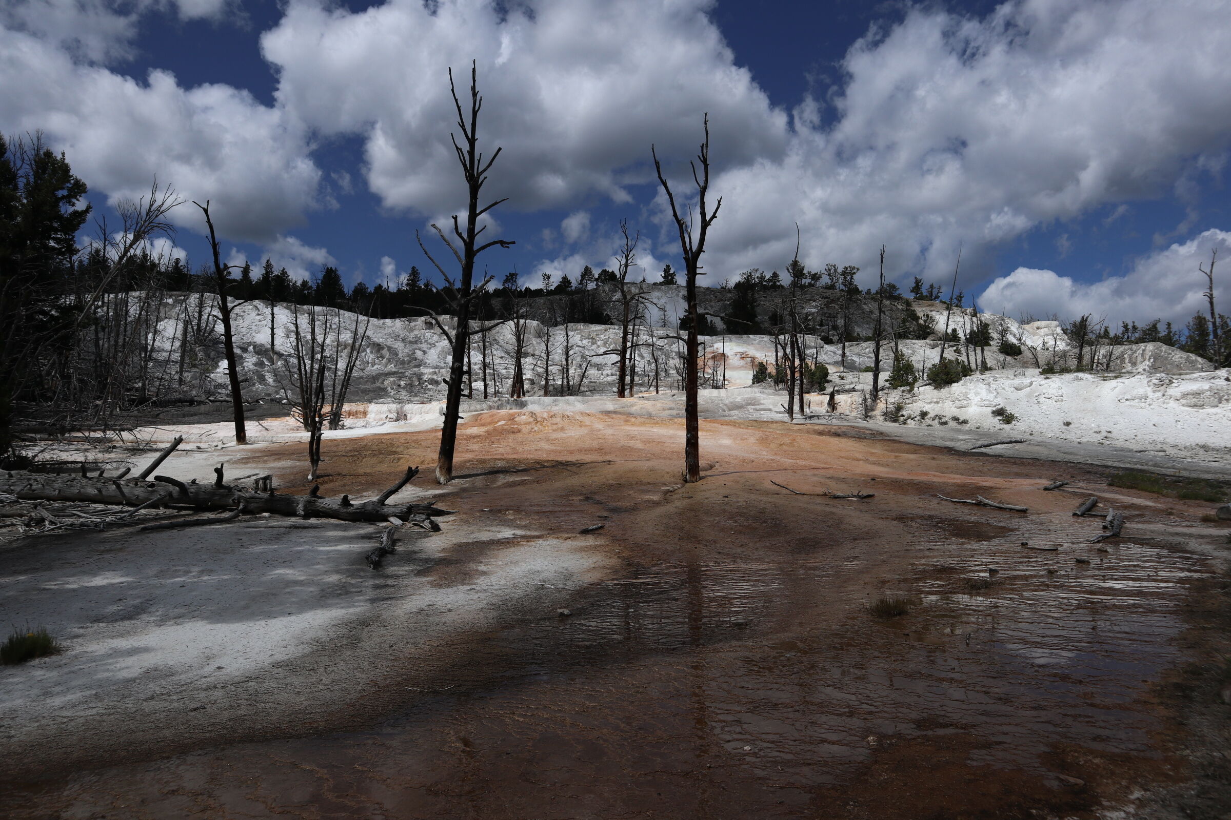 Landscape in transformation at Yellowstone