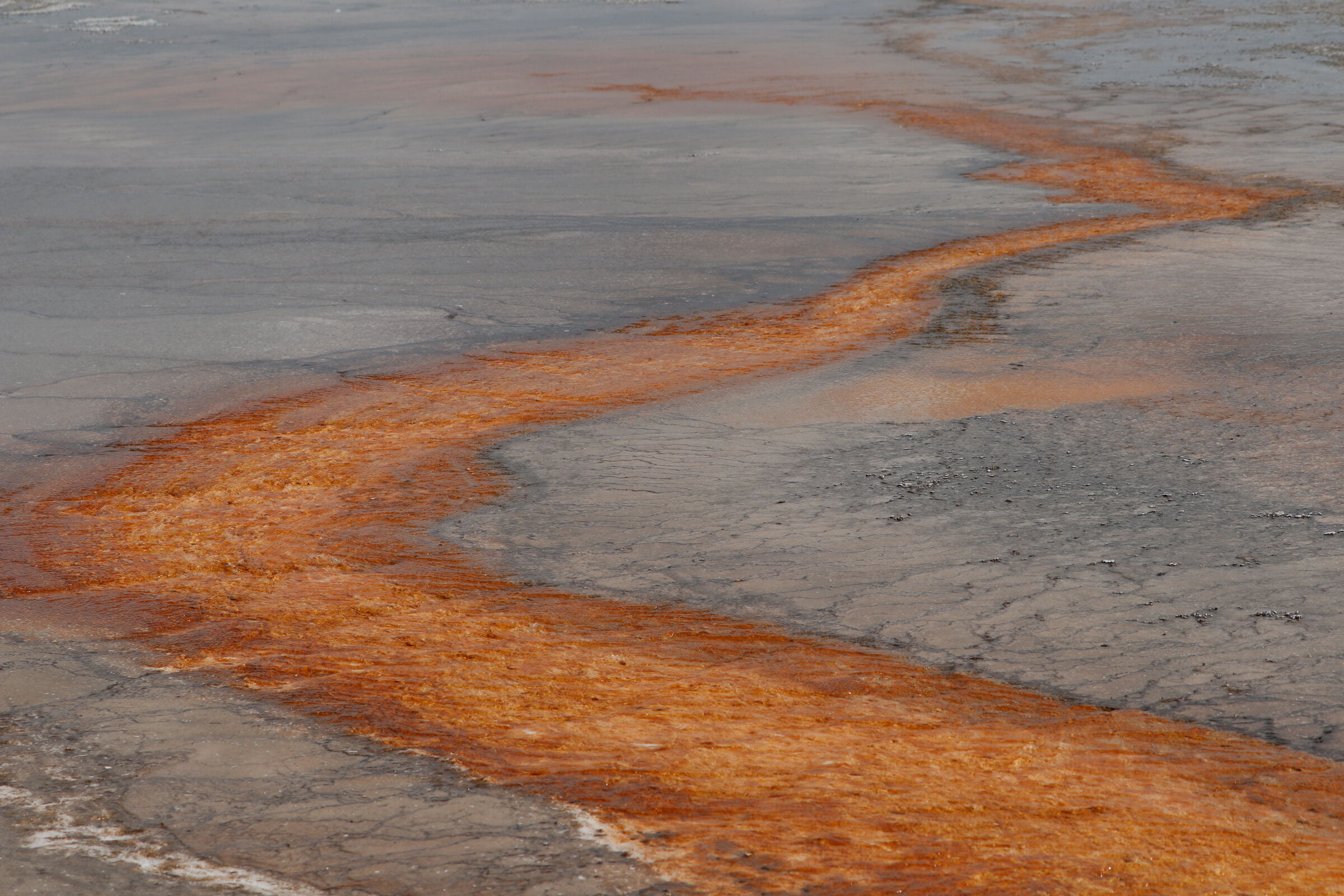 Watercolor effect at the Yellostone 2