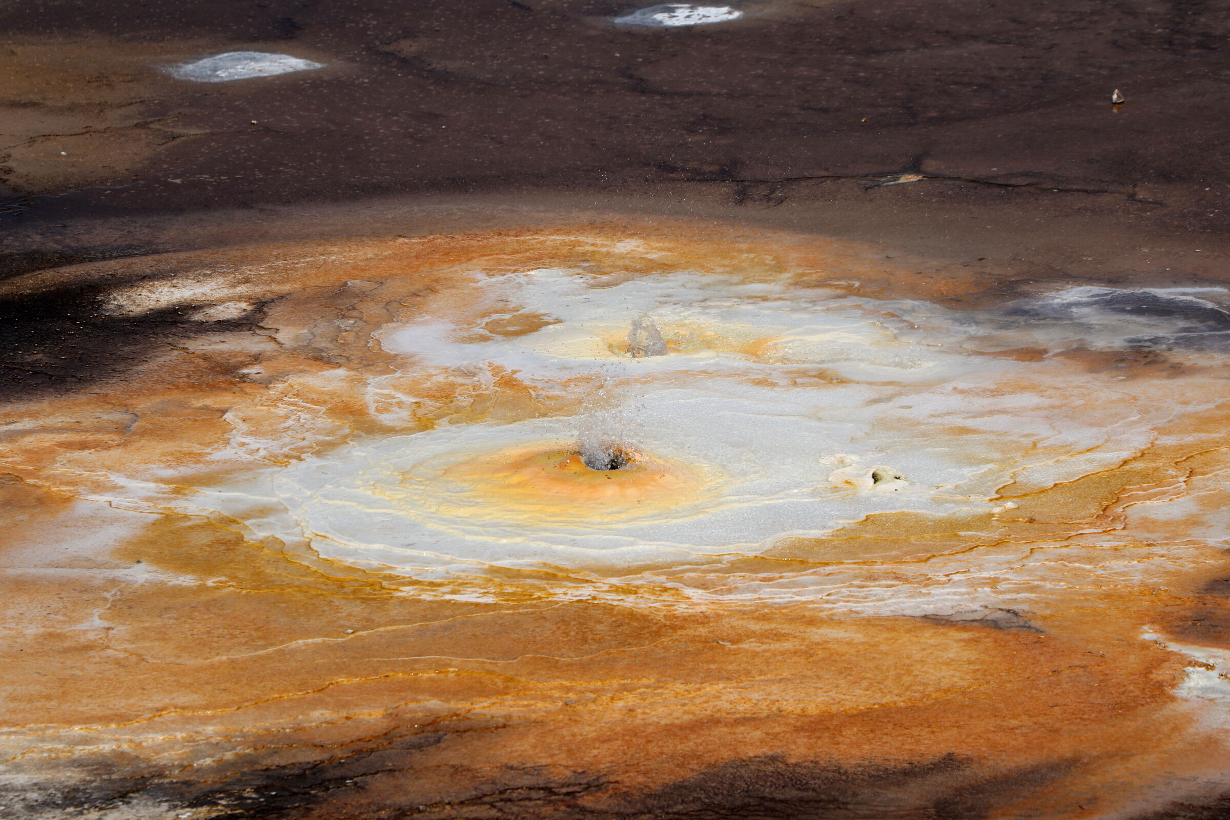 Color games at Yellowstone