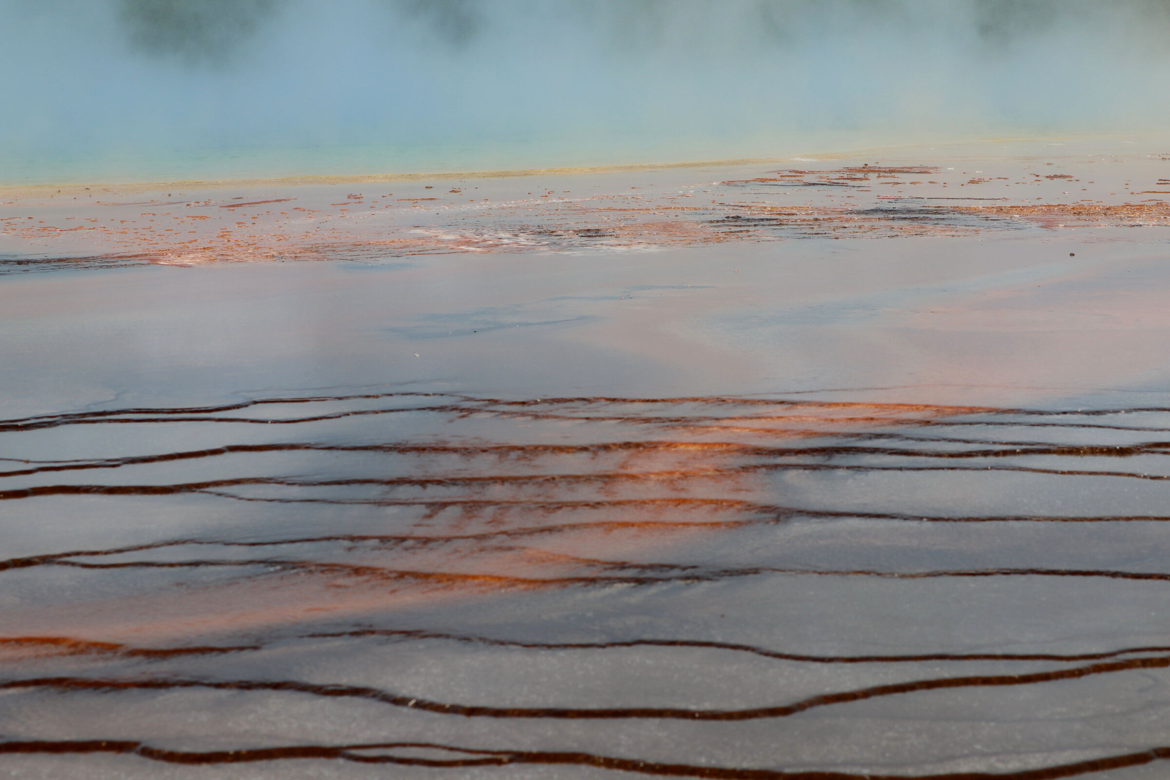 Color games at Yellowstone 3