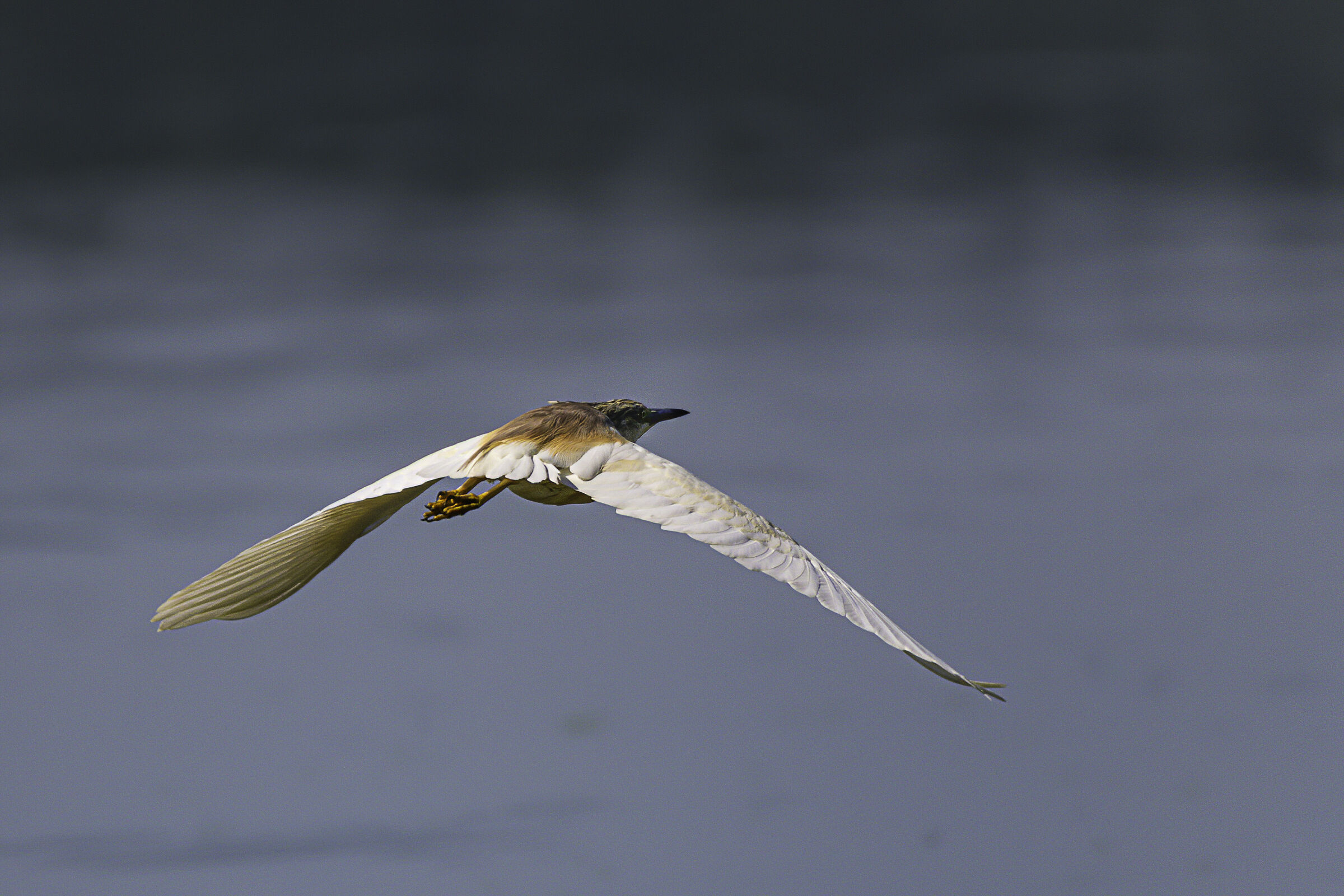 in volo verso il futuro