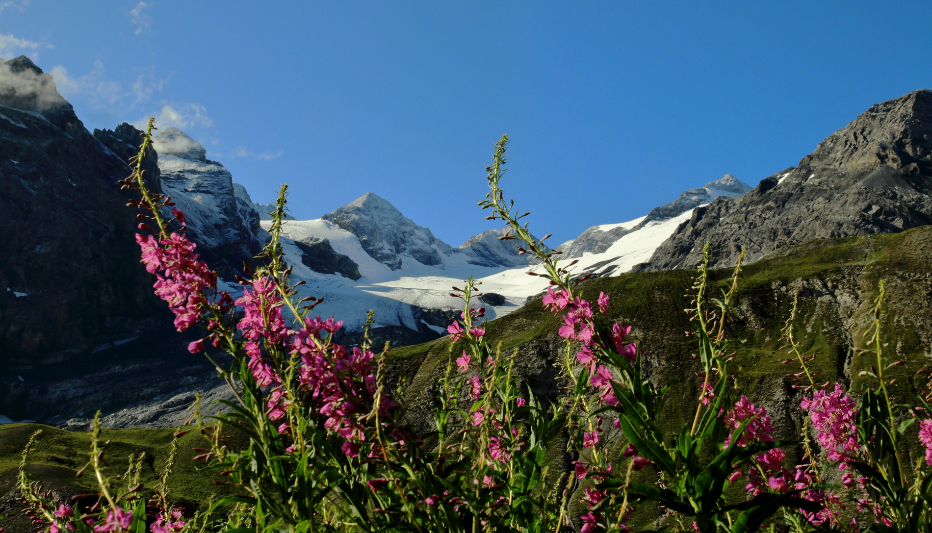 ghiacciai dello stelvio