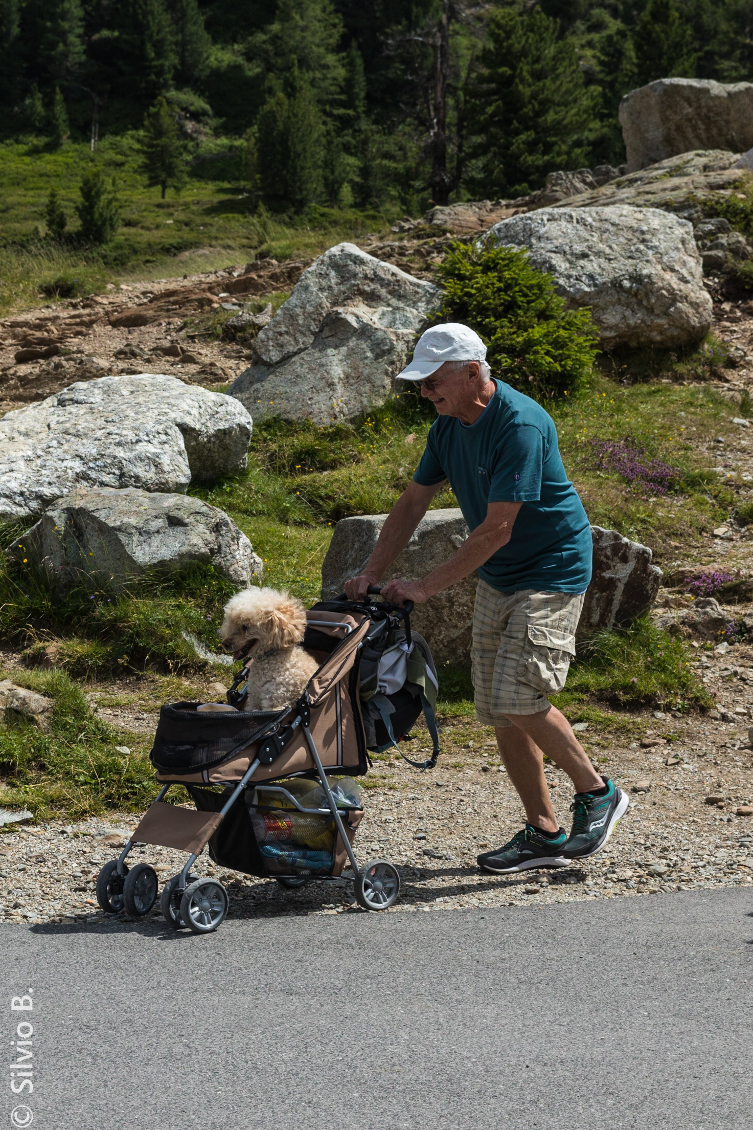 ... and the winner is..... (for posting!!!)