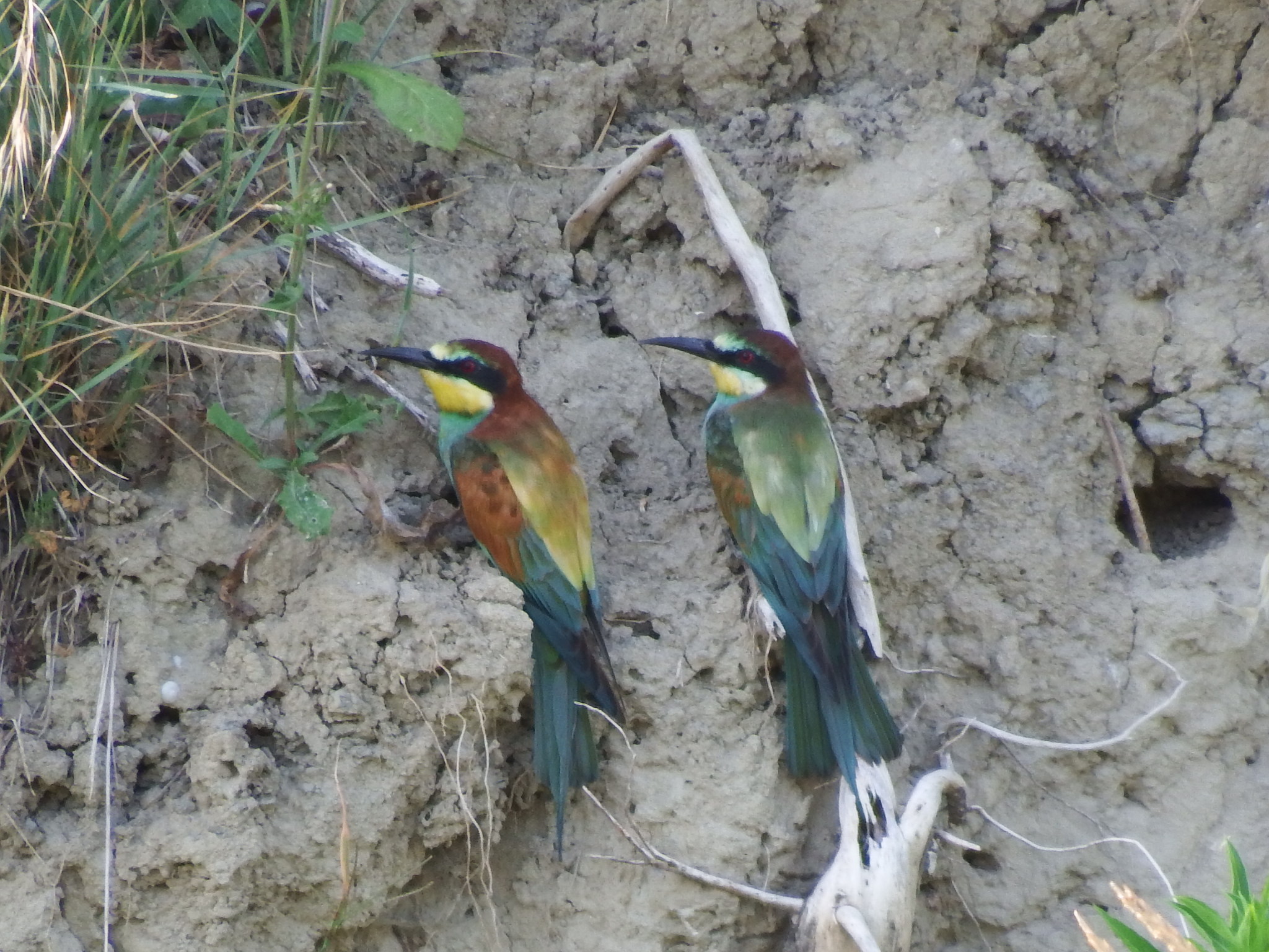 In che buco mi hai portato?!