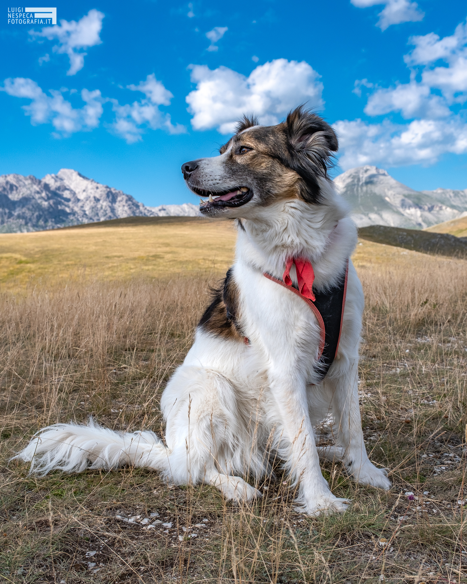 Melody a Campo Imperatore - Gran Sasso