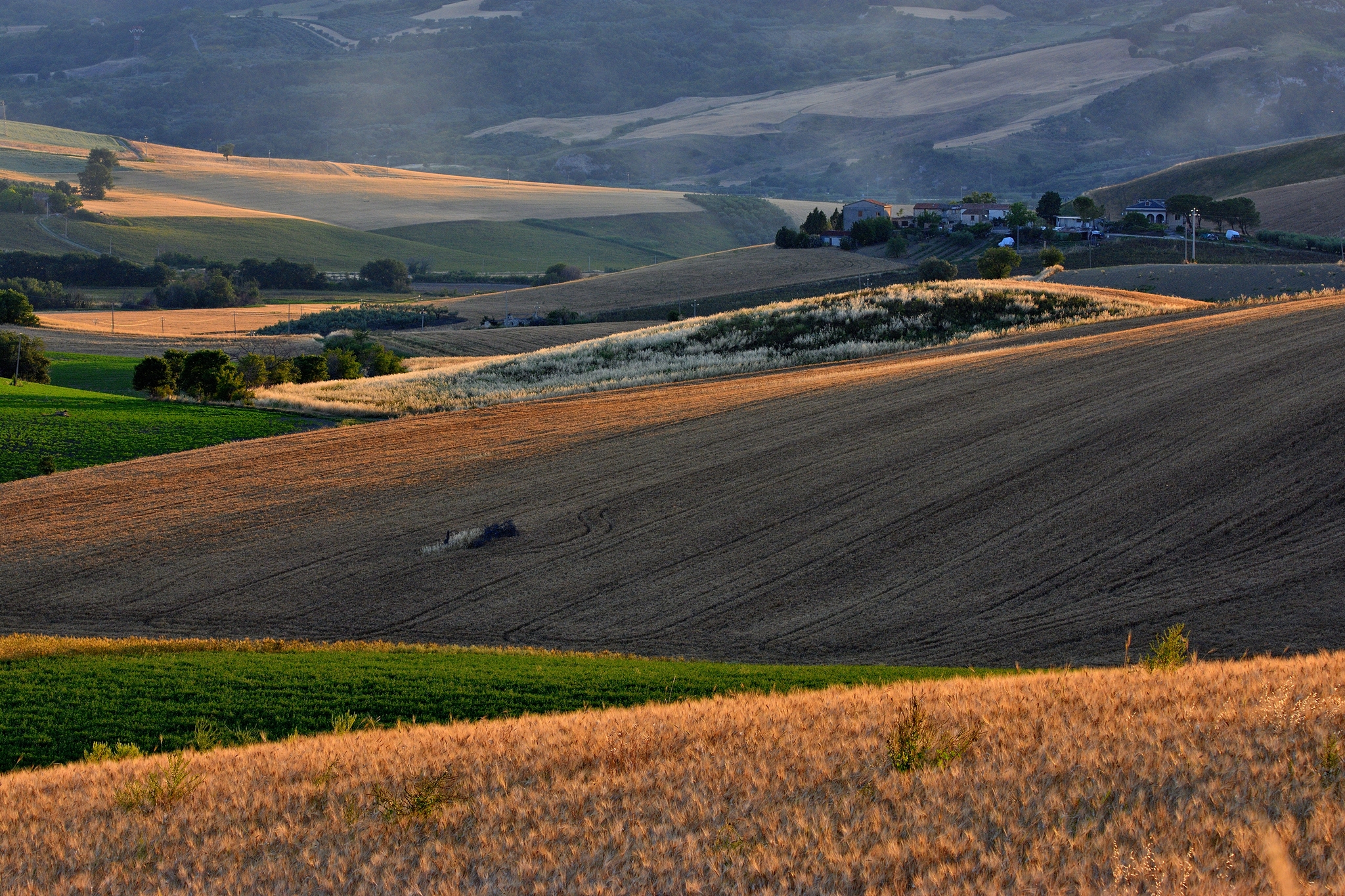 Vita nei campi:polvere e sudore
