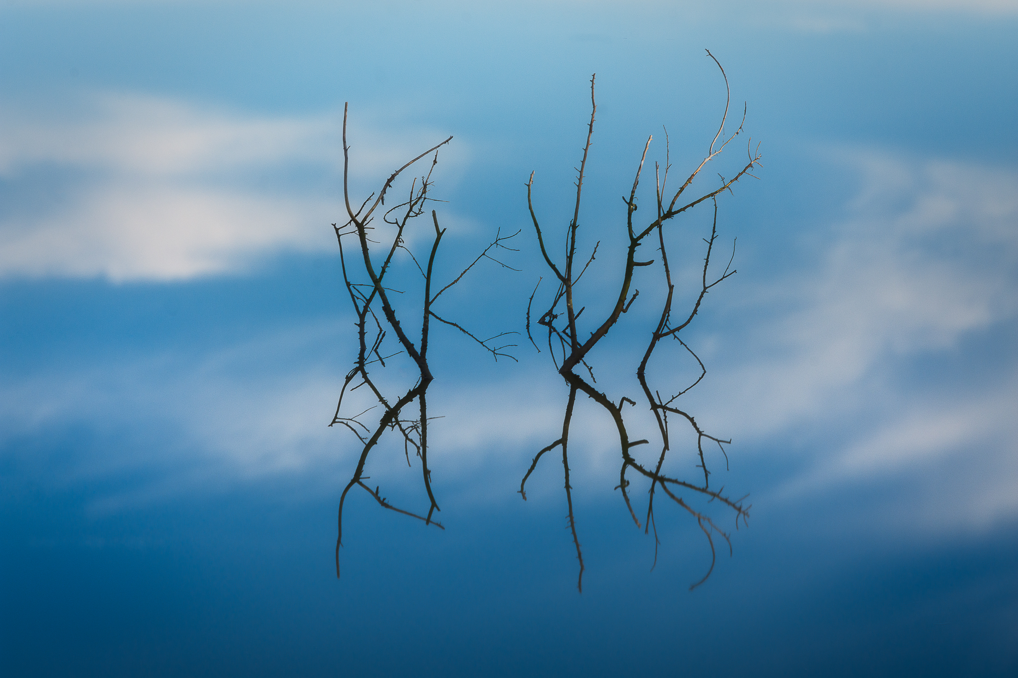 Into the Infinity of Thoughts