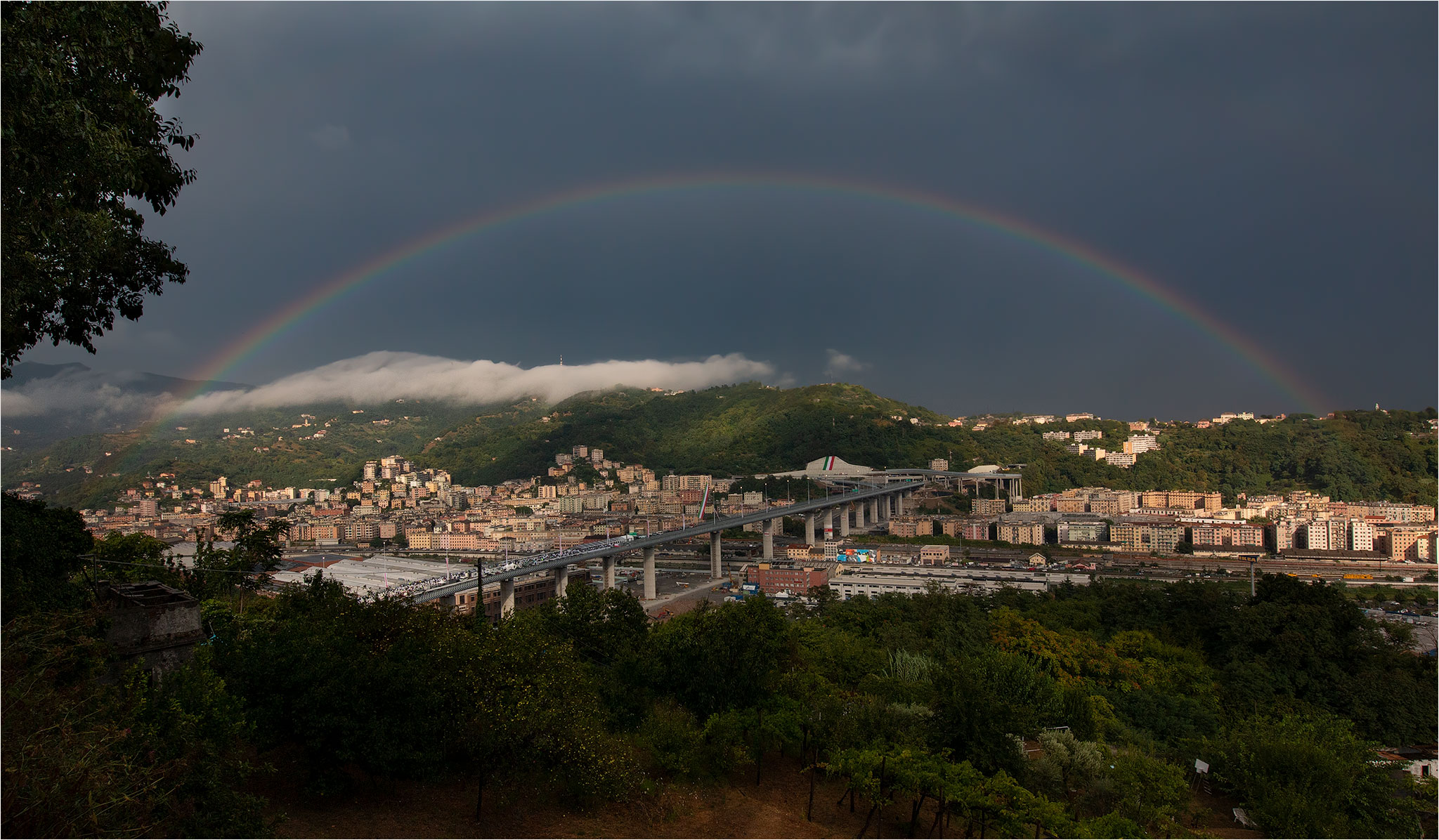 Un segnale da lassù (Genova 03-08-2020)