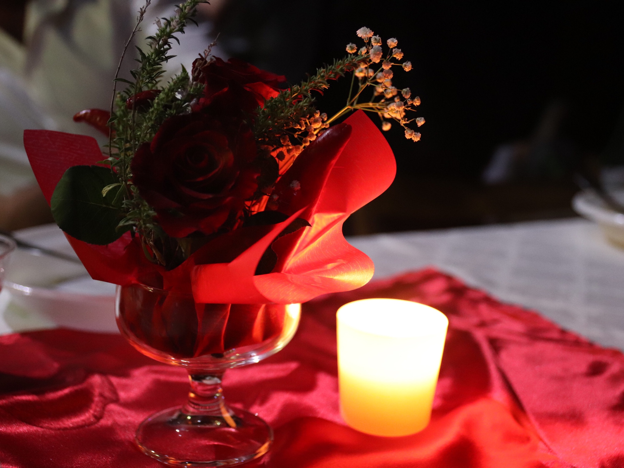 Untitled Photo