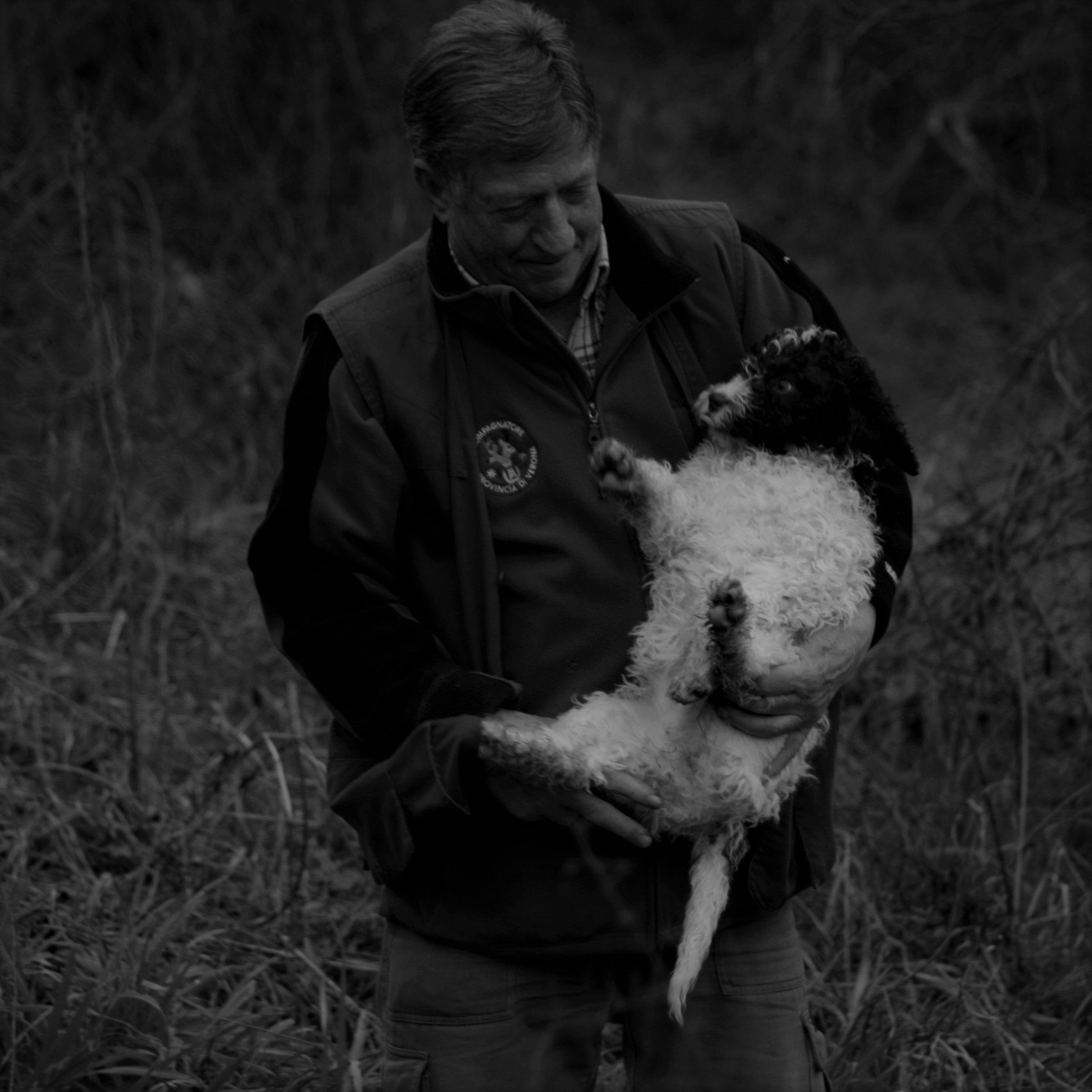 il vecchio e il cucciolo