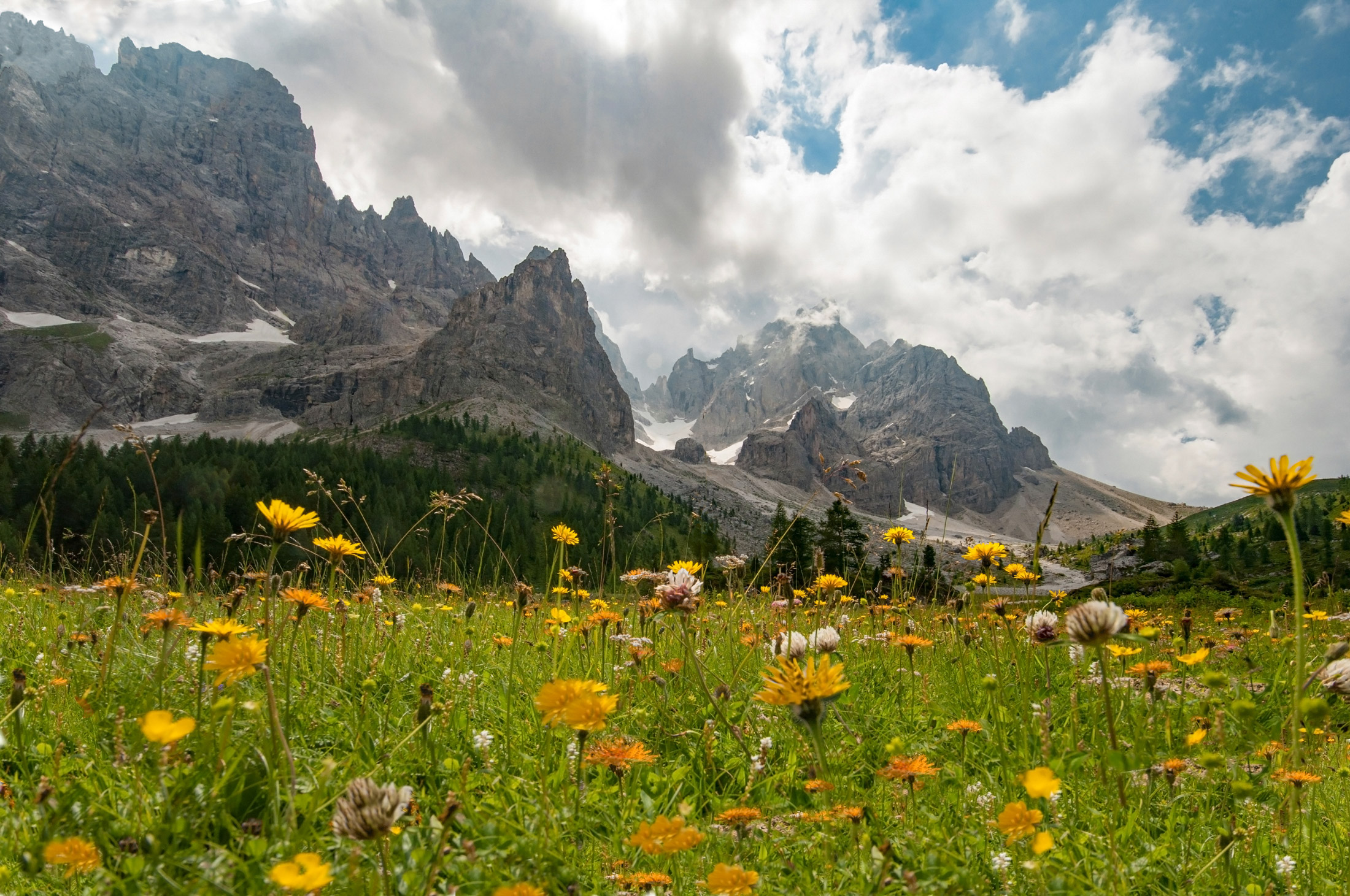 Prati di Campigol Pale di S. Martino