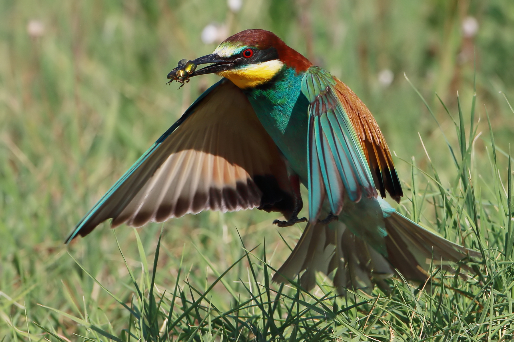 For the little ones...