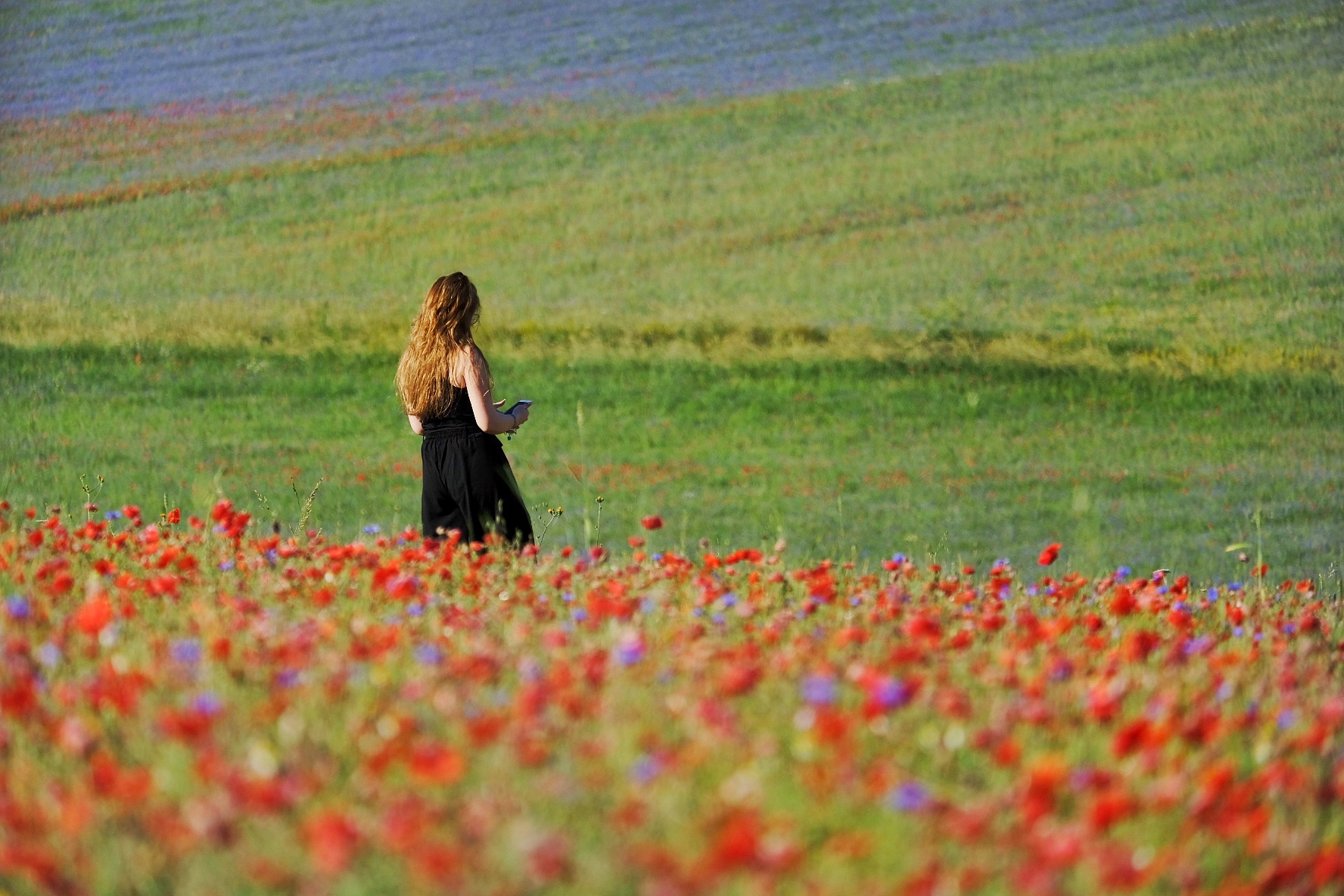 Castelluccio