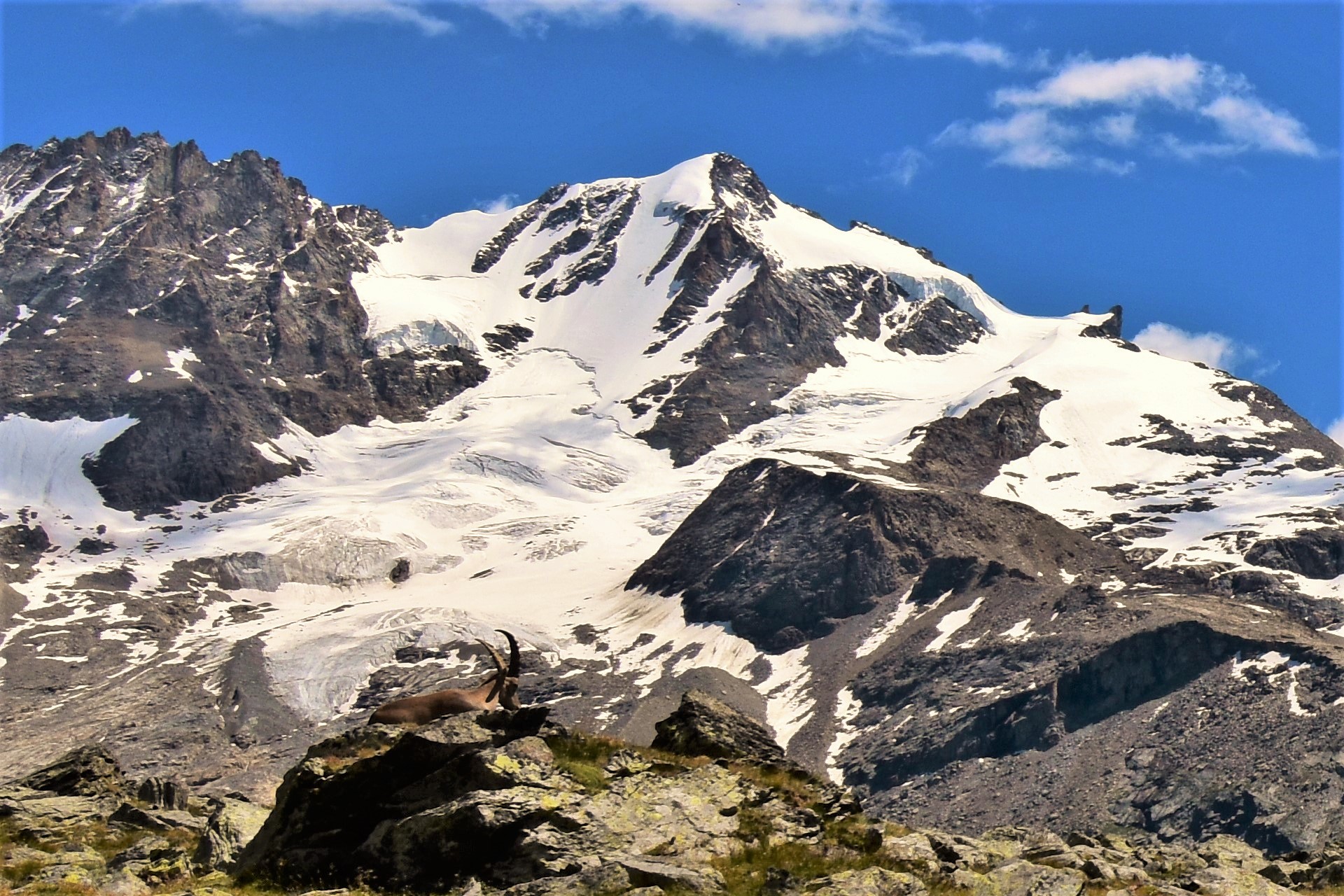 GREAT PARADISE AND IBEX