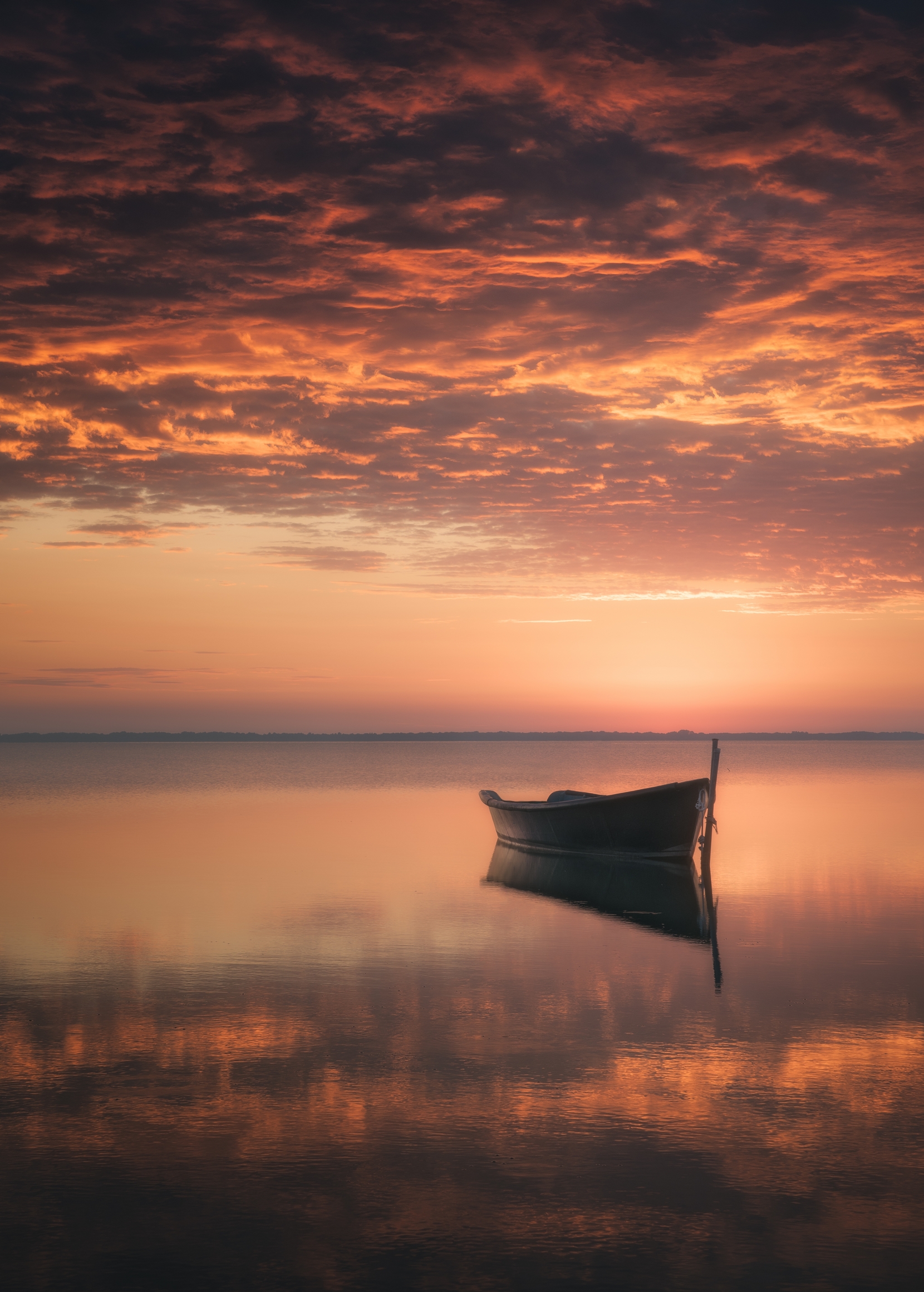Ammirando solo l'ombra della luce