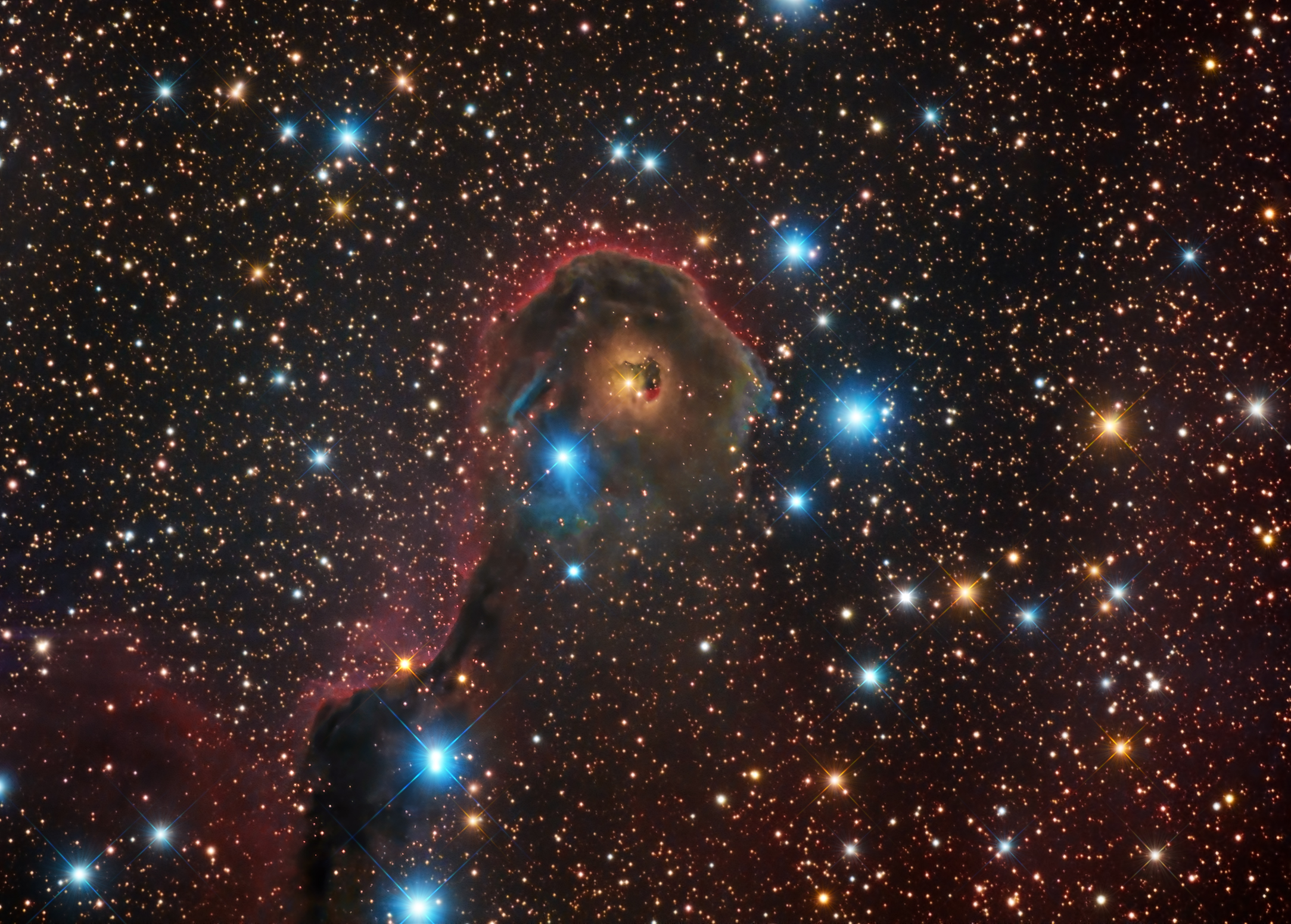 ic1396 - Proboscide d'elefante