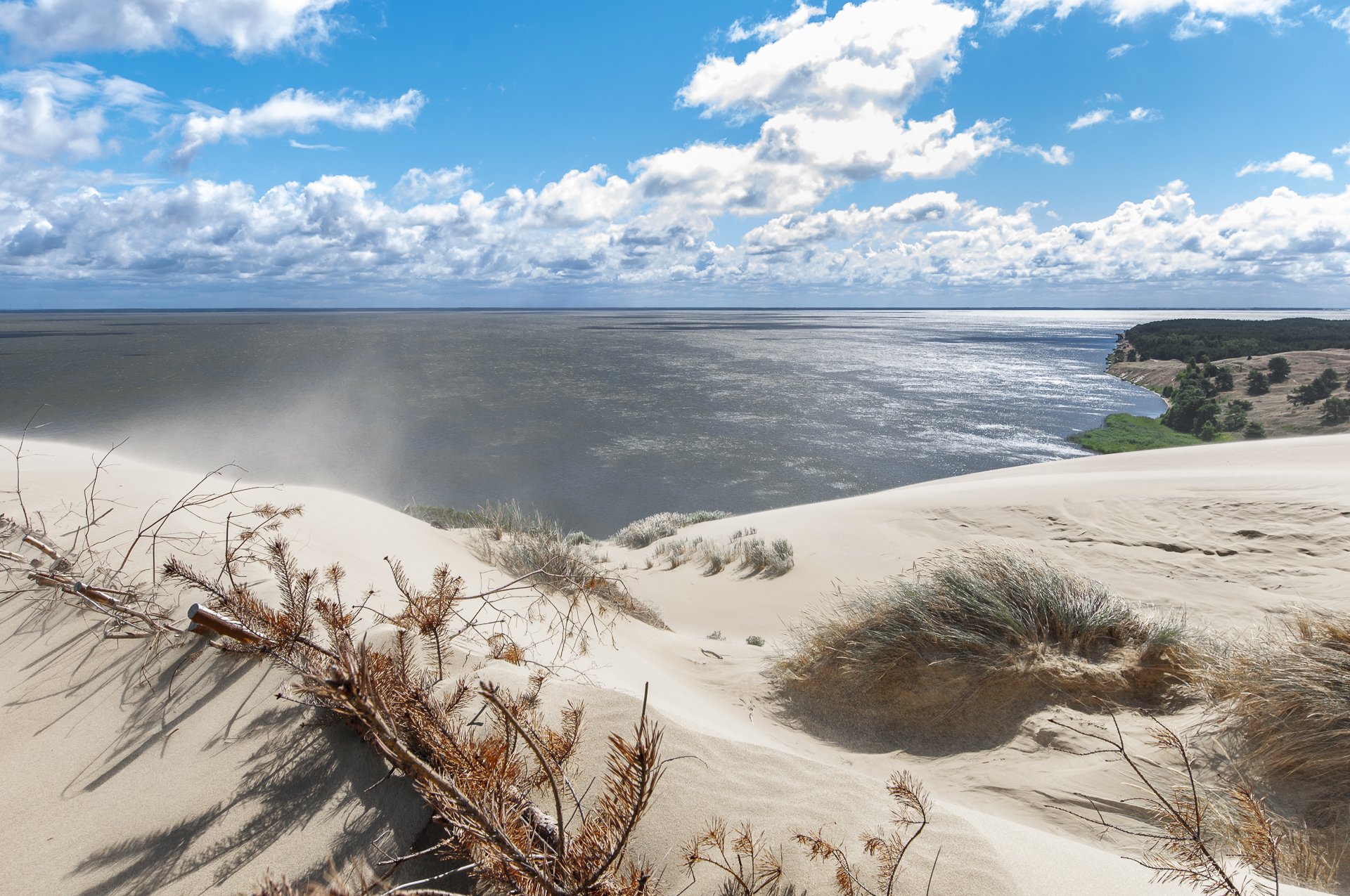 Nagliai dune