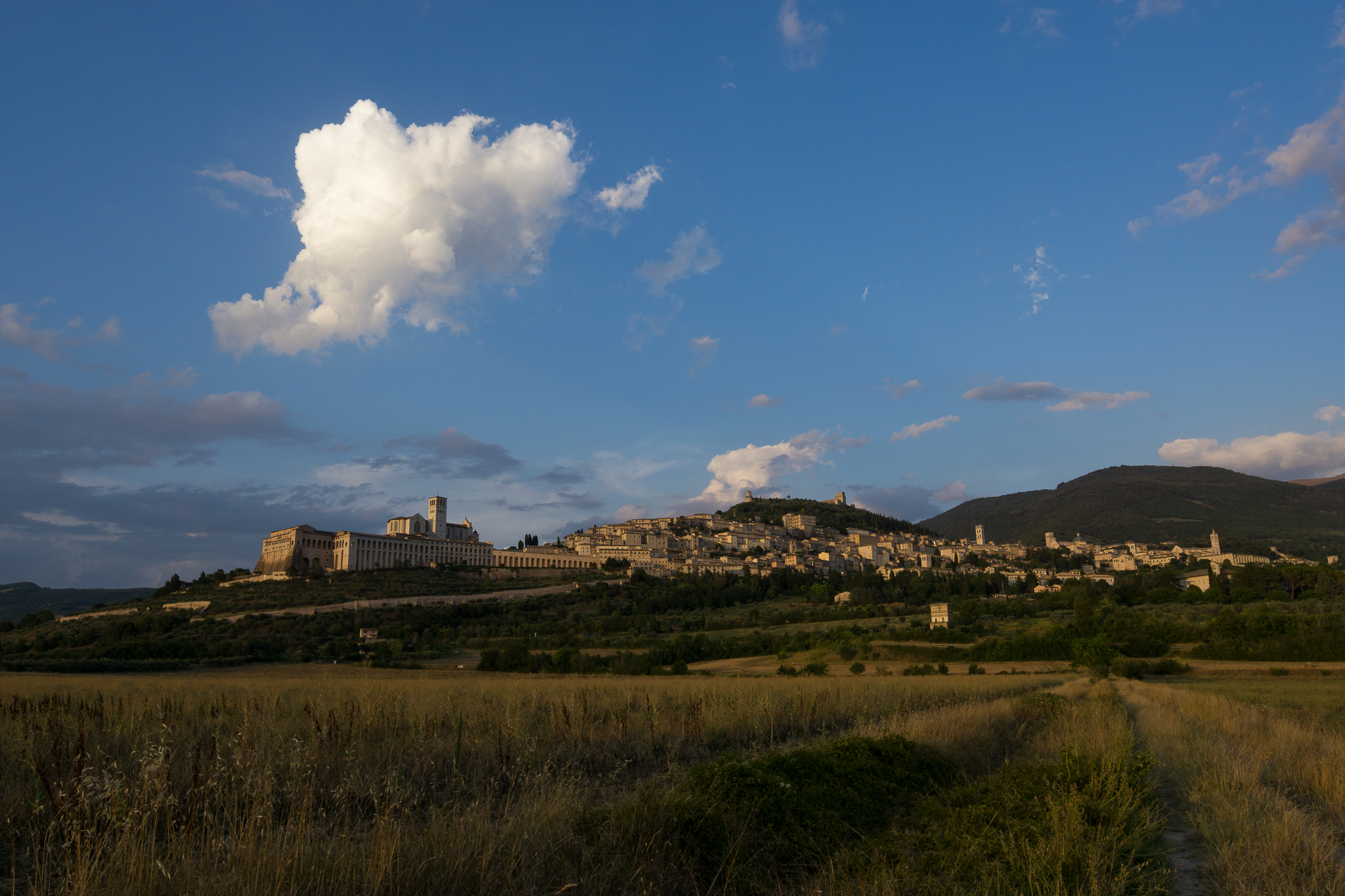 Assisi at the golden hour