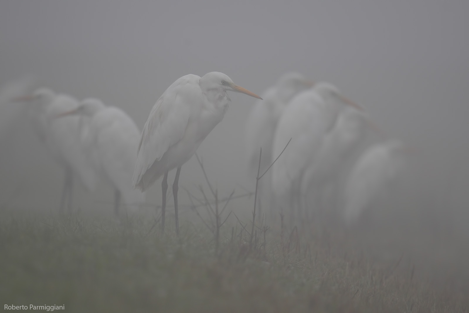 Vicinanza come difesa dalla nebbia