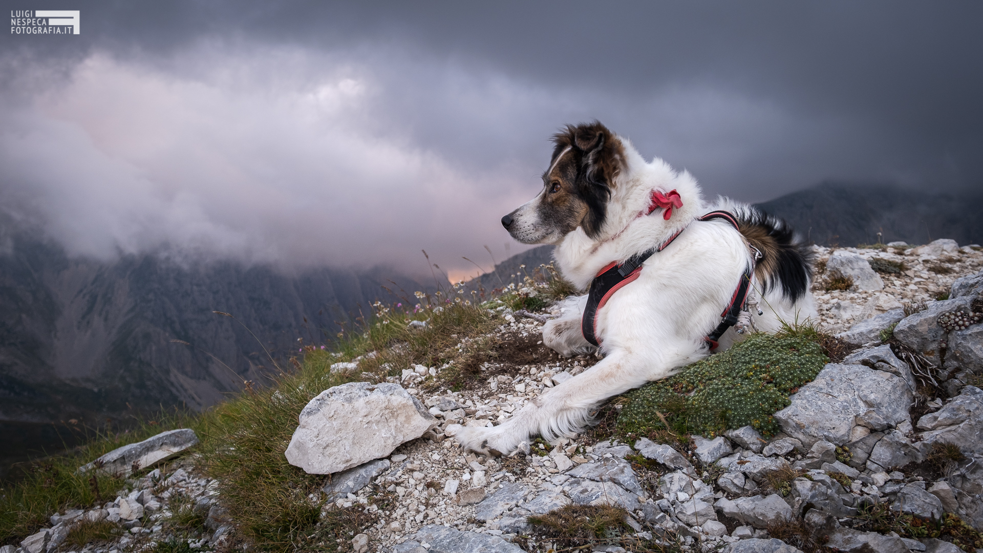 Melody e il suo Gran Sasso