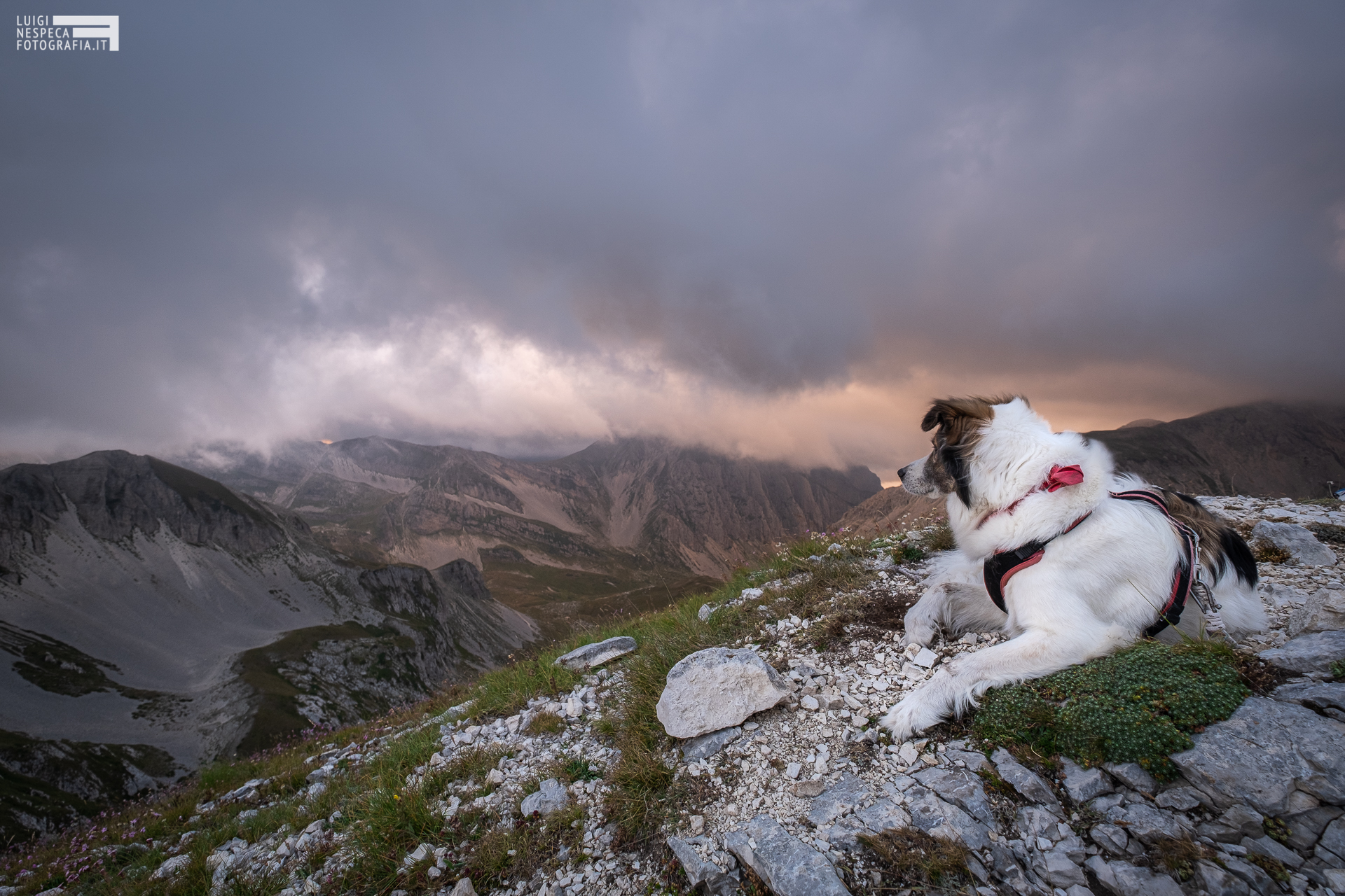 Melody e il suo Gran Sasso