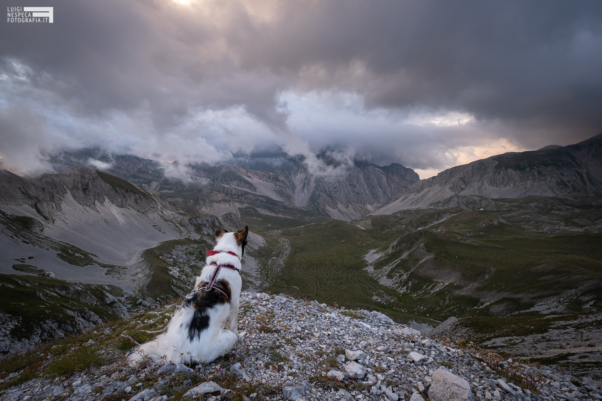 Melody e il suo Gran Sasso