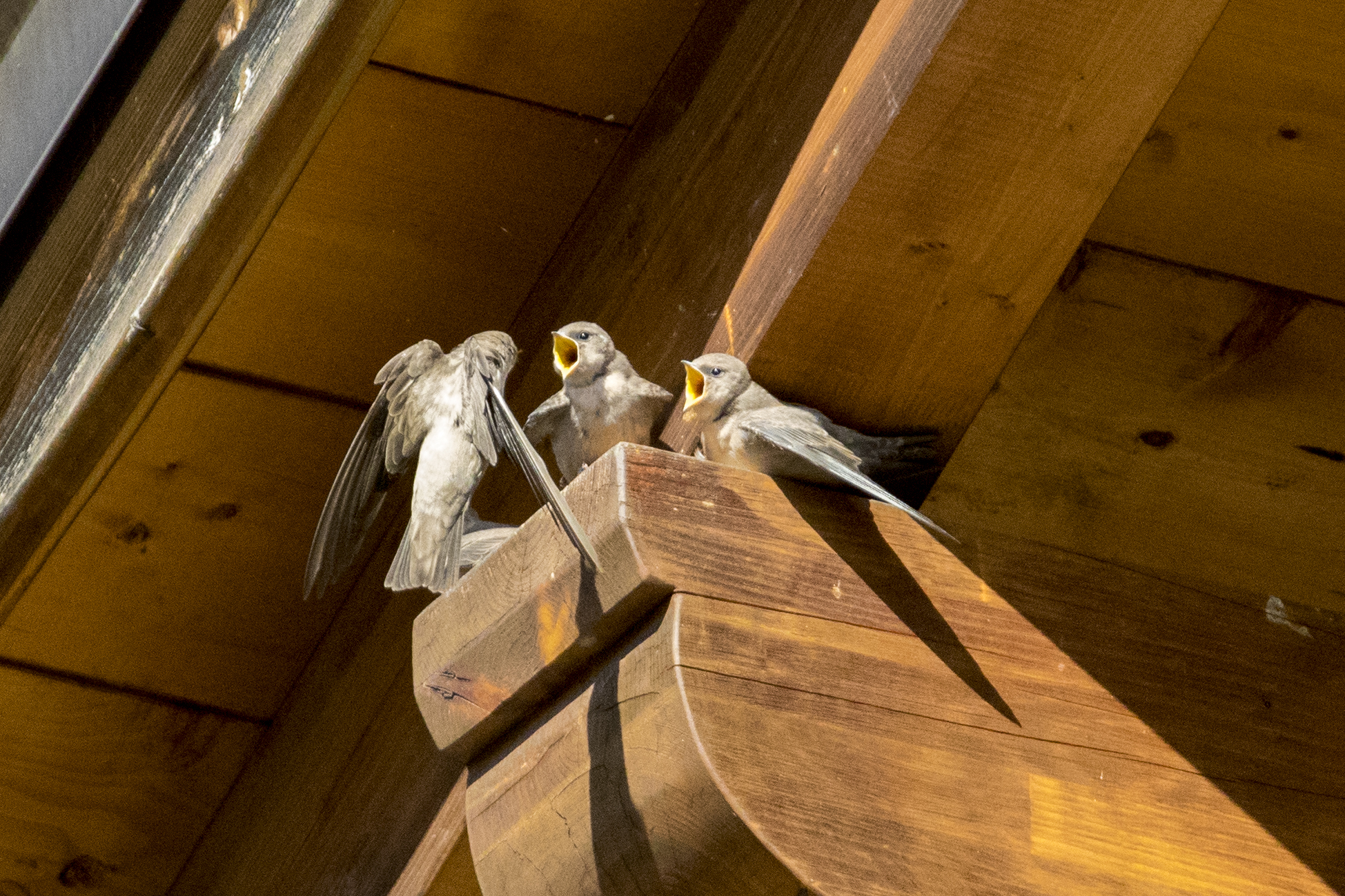 Here comes the gruel